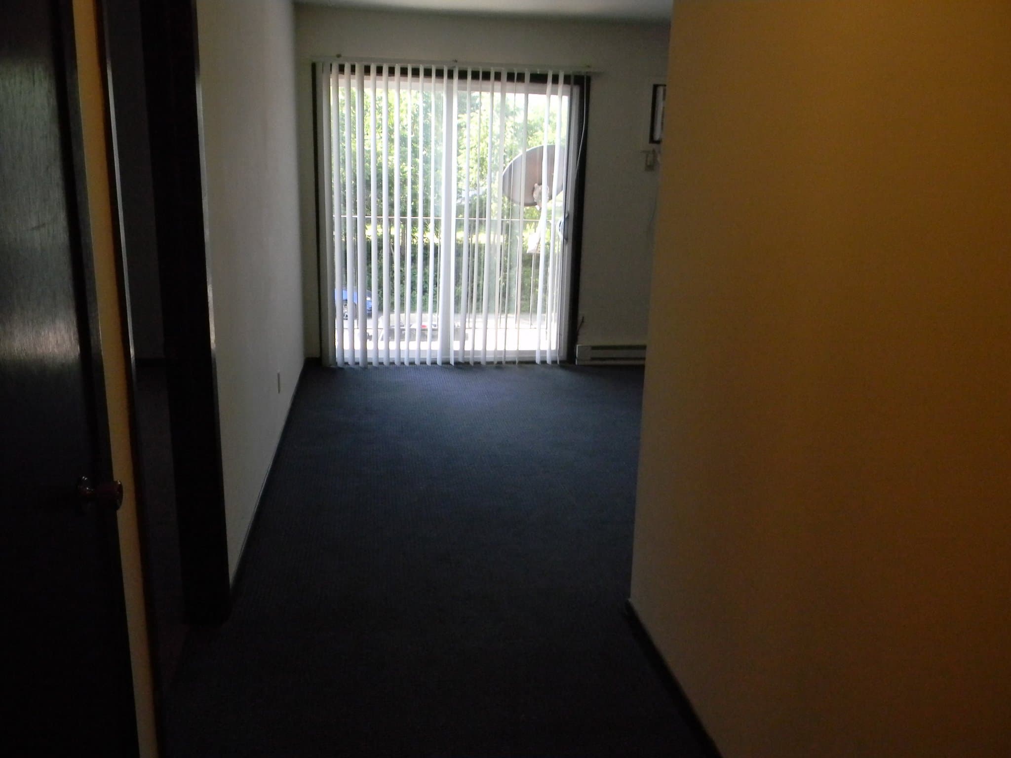 Harvard Apartment: 1000 West Roosevelt