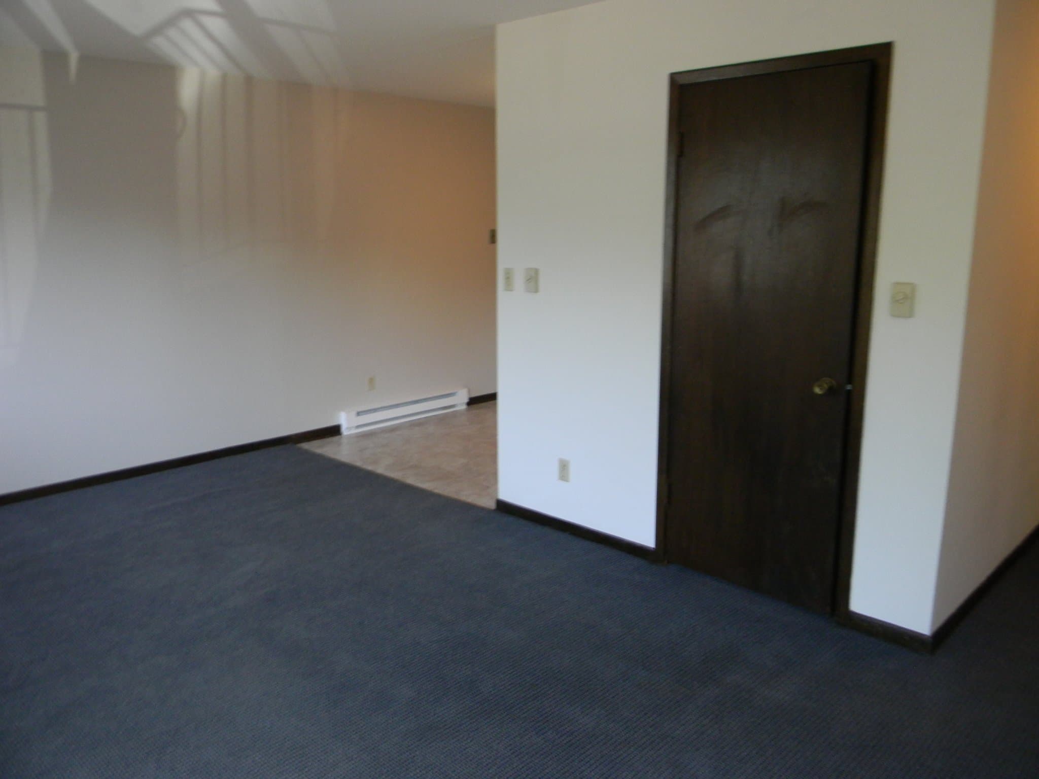 Harvard Apartment: 1000 West Roosevelt