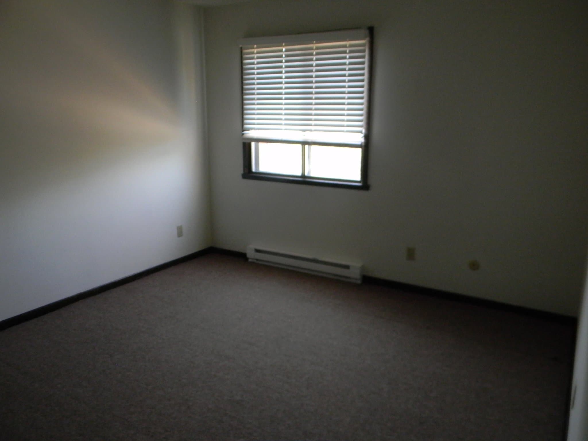 Harvard Apartment: 1000 West Roosevelt