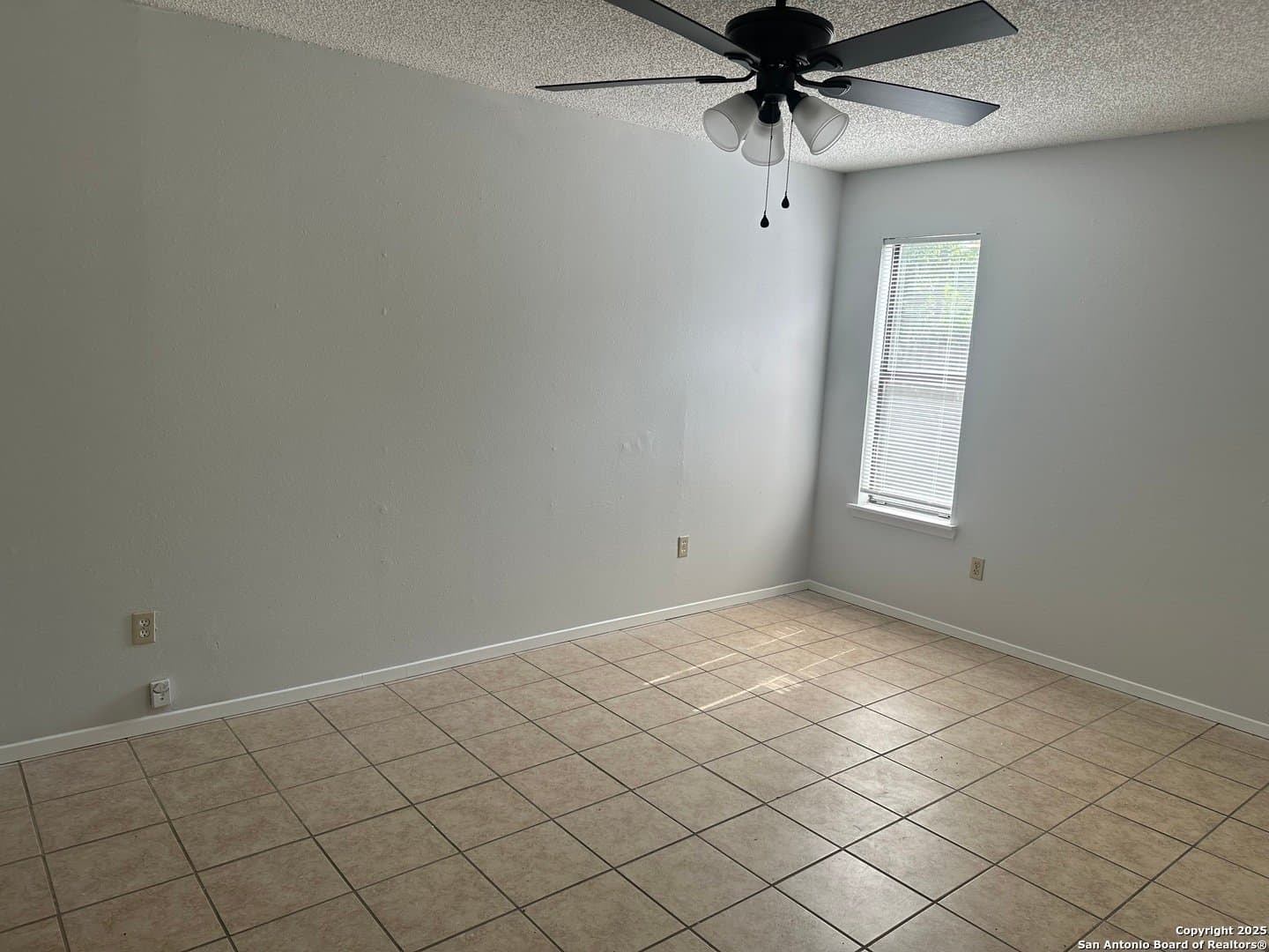 Pleasanton House: 401 W Adams