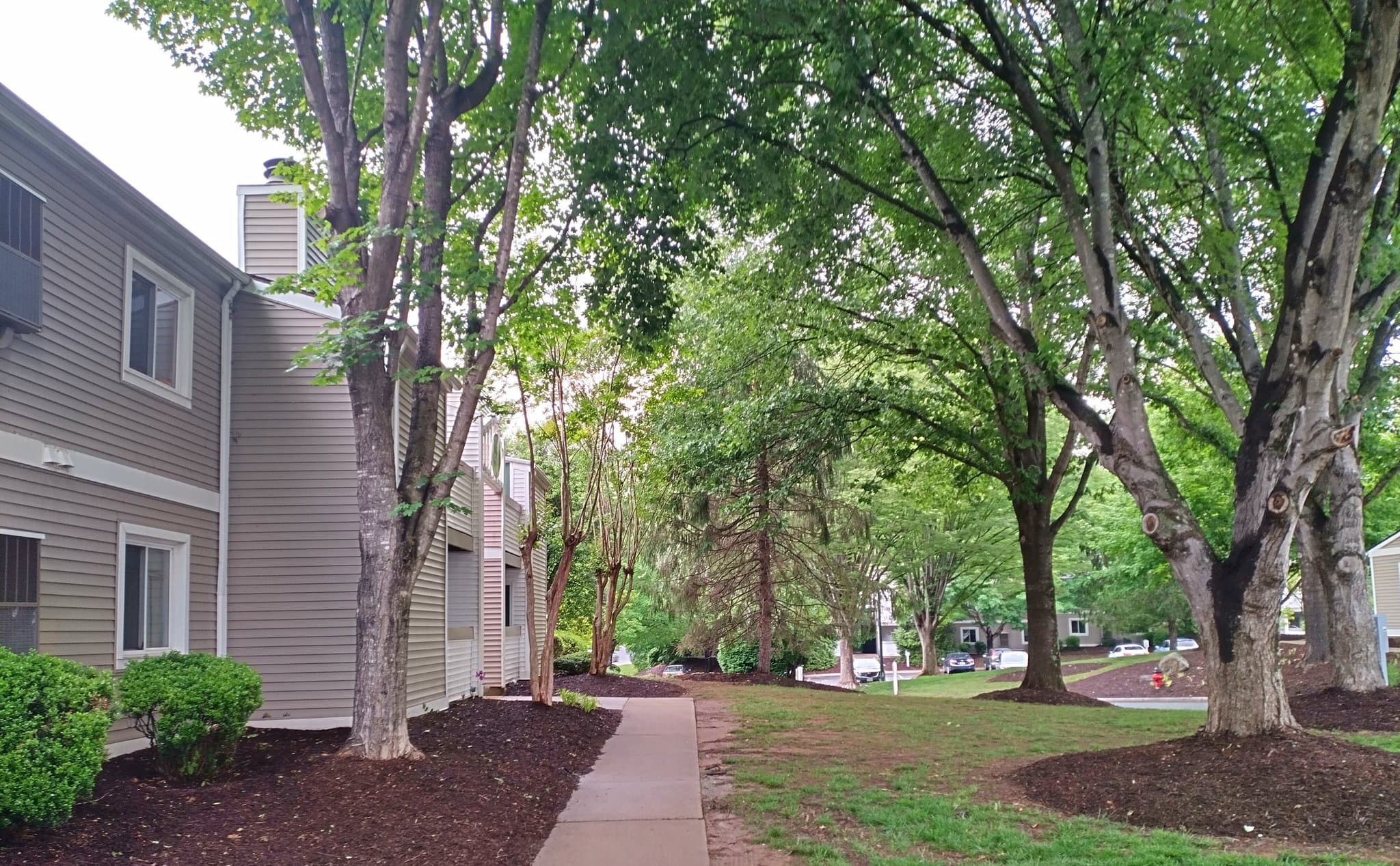 Lynchburg Apartment: 600 Reusens Rd