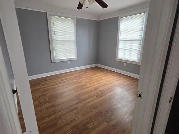 New Orleans Multiplex: 2429 Desire Street