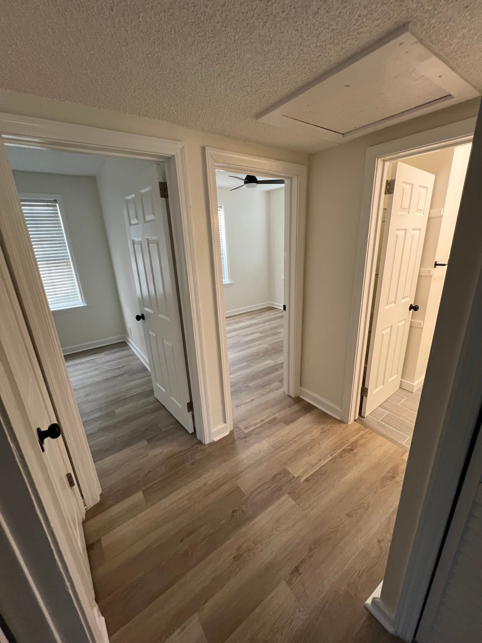 Jacksonville House: 1178 Murray Dr
