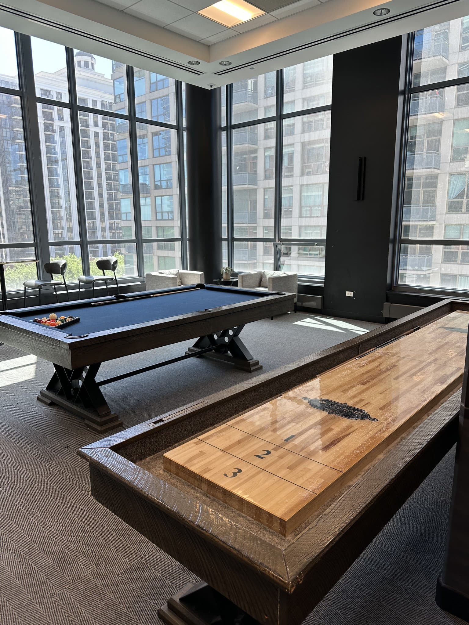Chicago Condo: 1251 S Michigan Ave