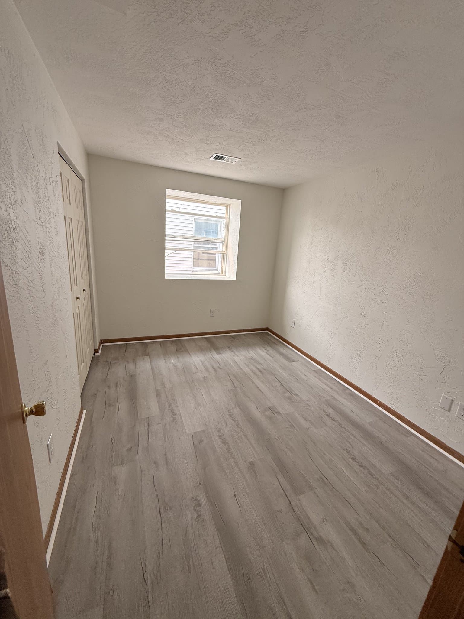 Homestead Apartment: 118 Whitaker Street