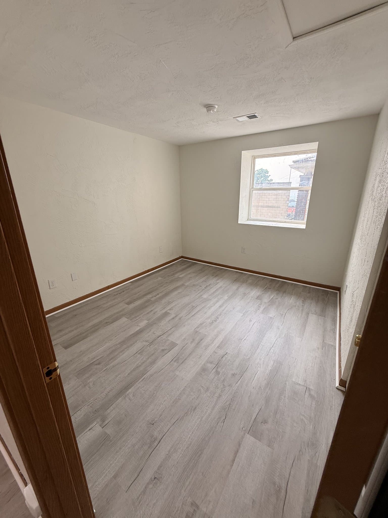 Homestead Apartment: 118 Whitaker Street