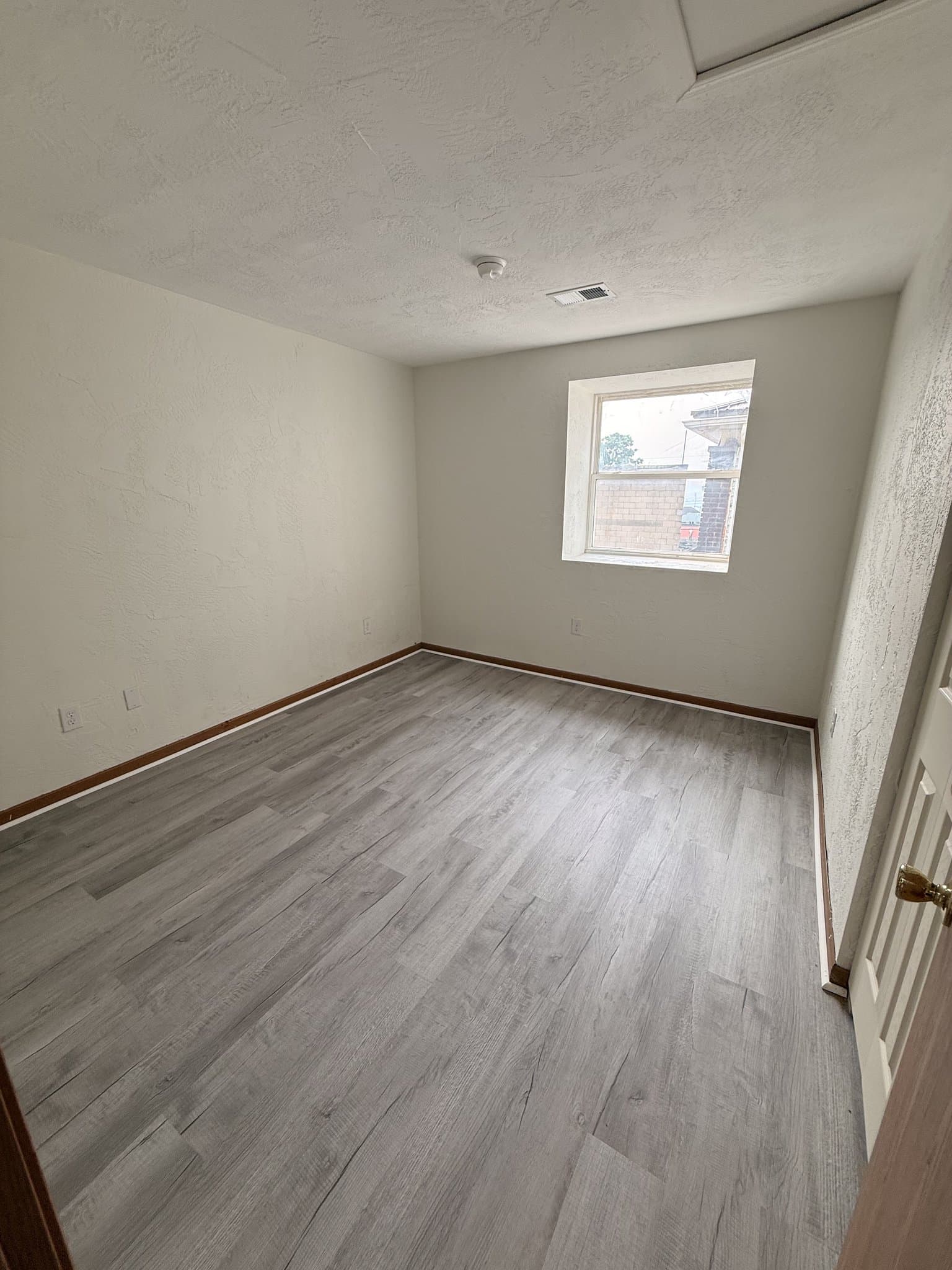 Homestead Apartment: 118 Whitaker Street