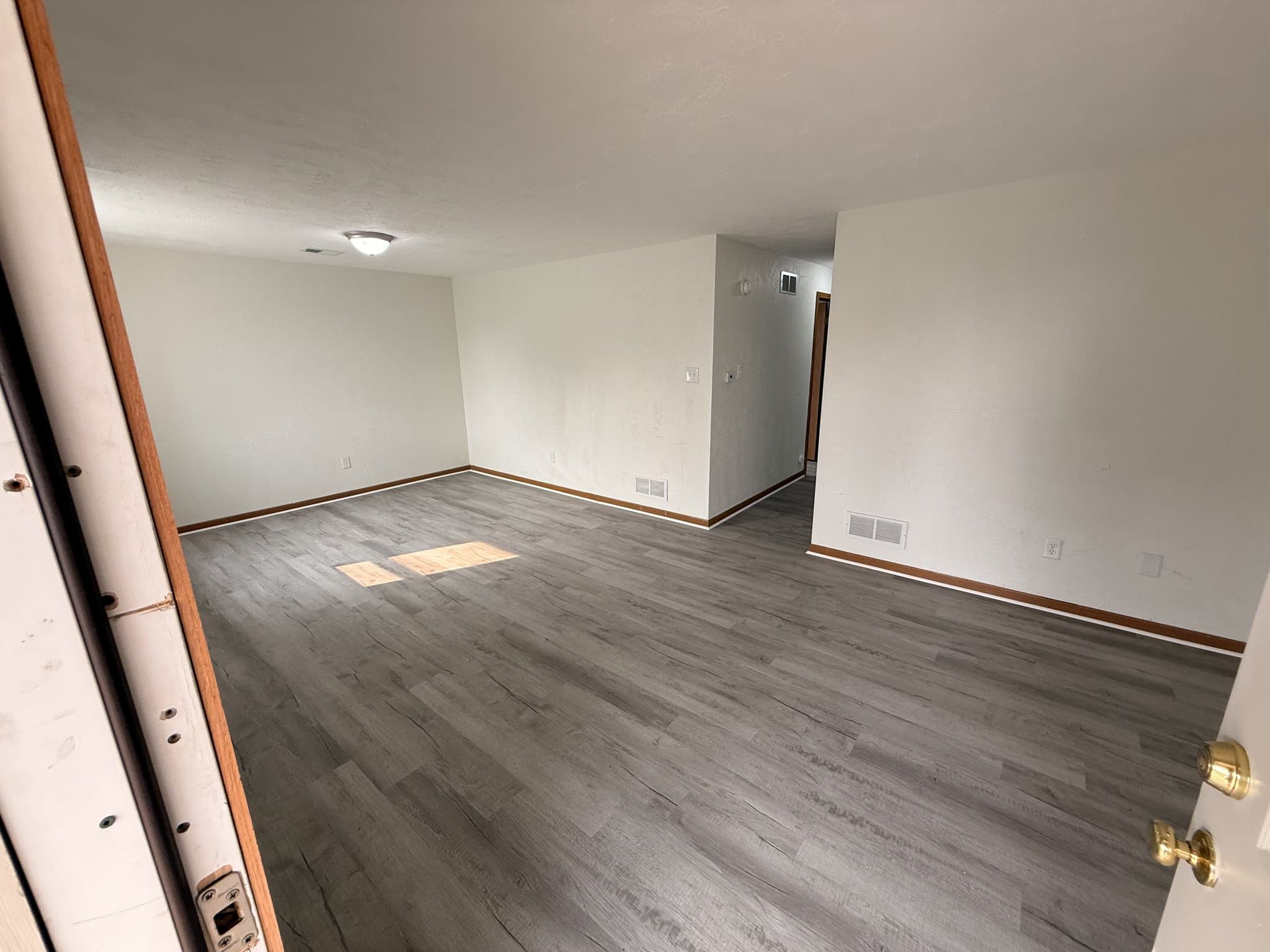 Homestead Apartment: 118 Whitaker Street