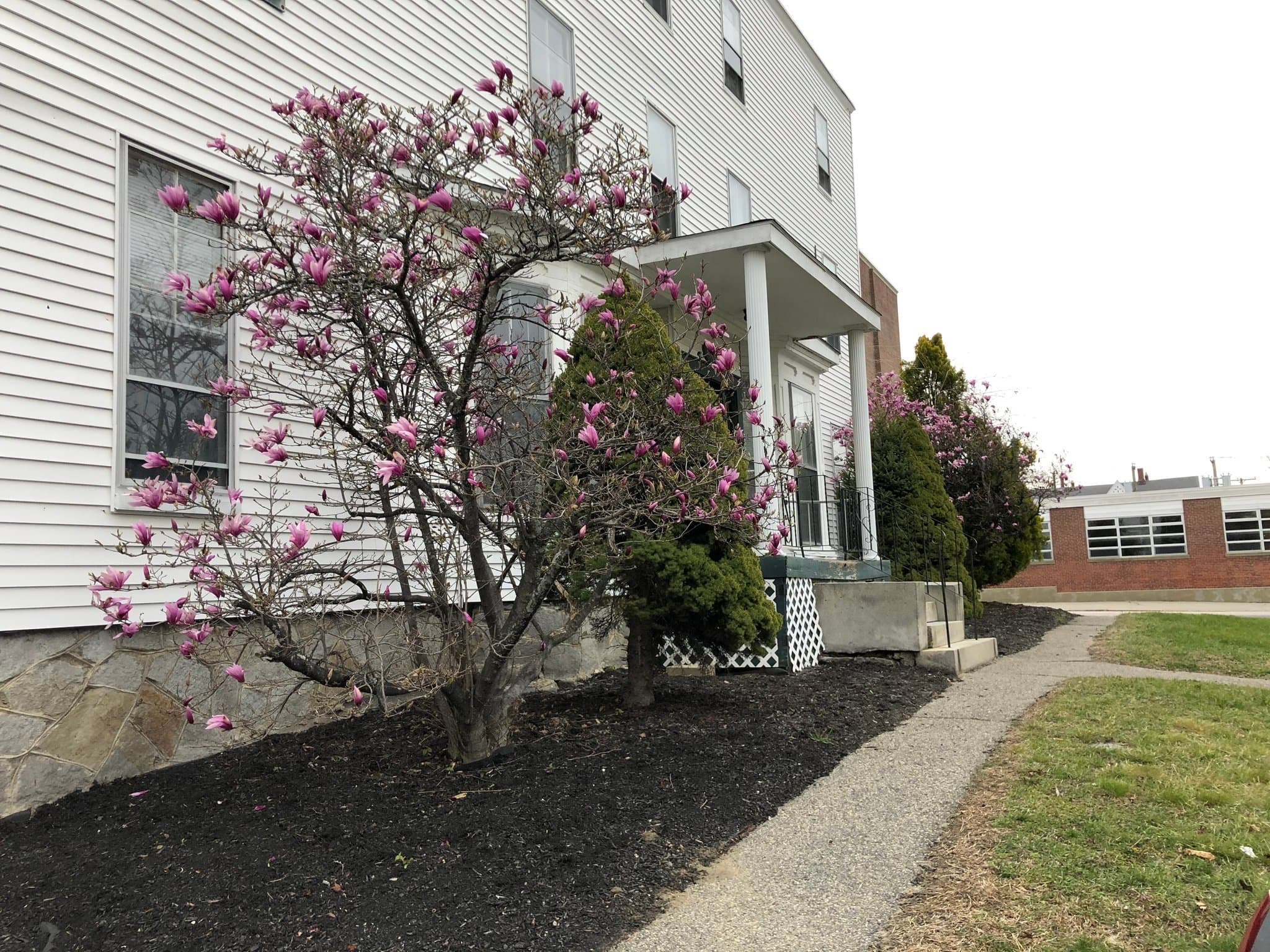 Manchester Apartment: 274 Amherst Street