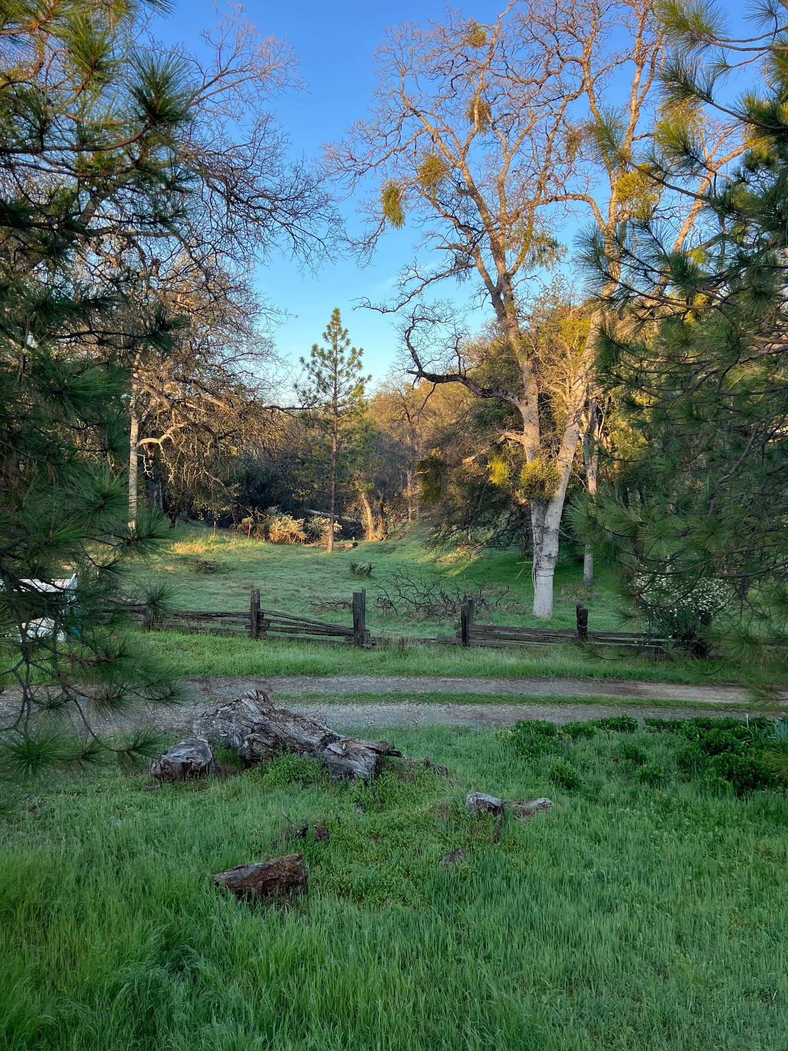 Coulterville House: 10663 Smith Station Rd