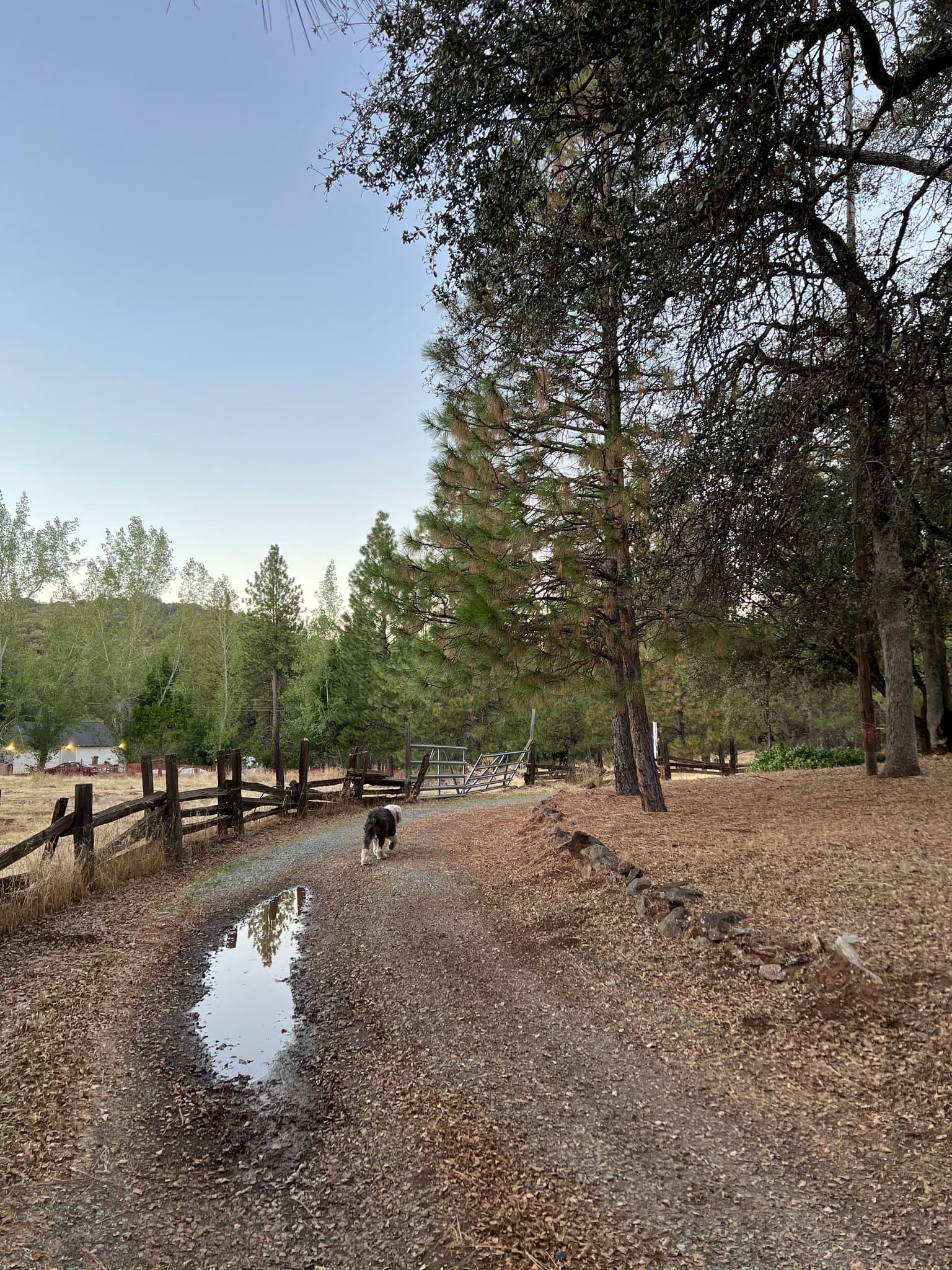 Coulterville House: 10663 Smith Station Rd