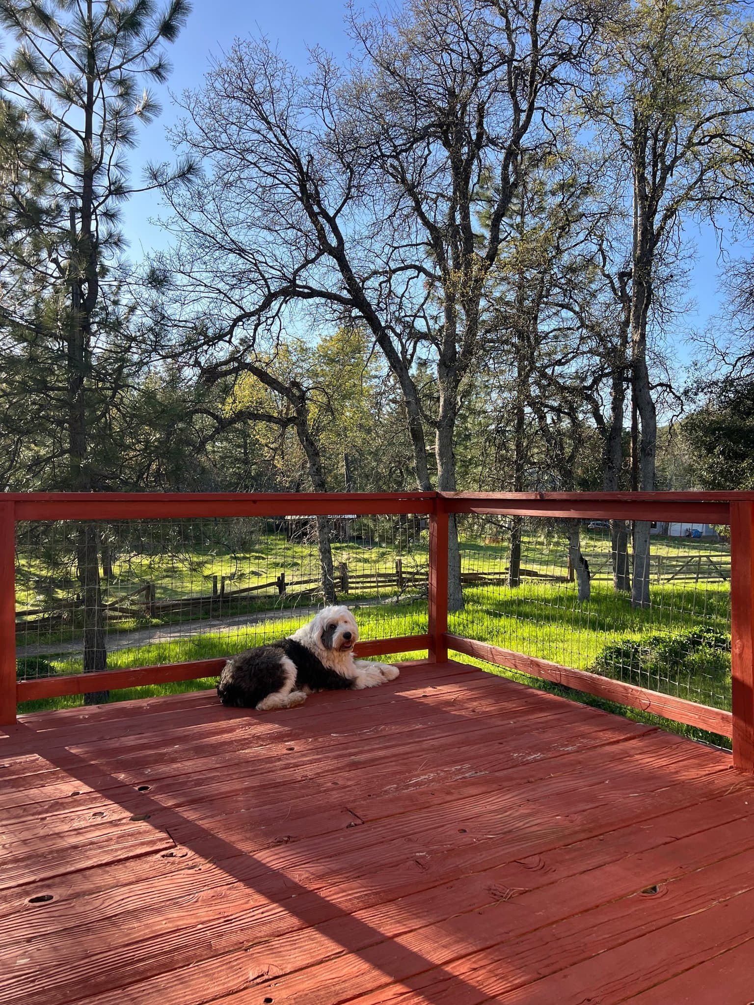 Coulterville House: 10663 Smith Station Rd