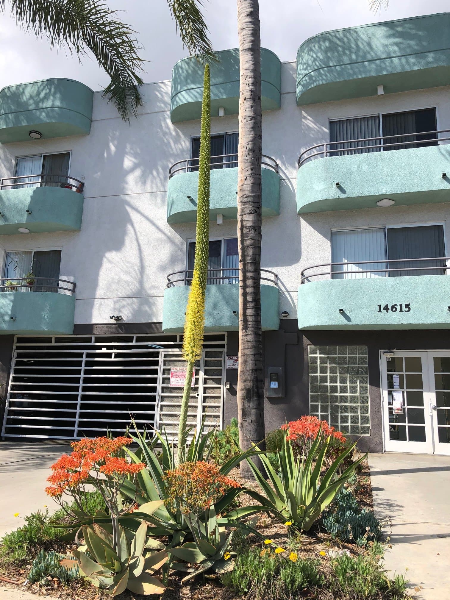 Sherman Oaks Apartment: 14615 Burbank Blvd #202B