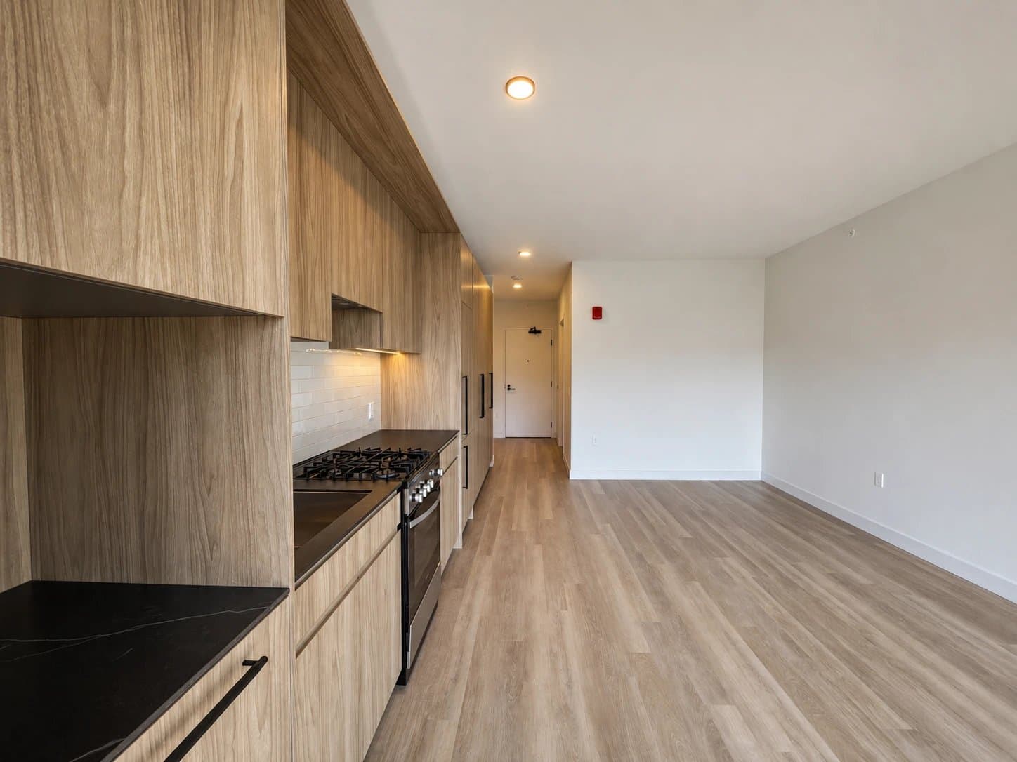 Chicago Condo: 230 N Ada St