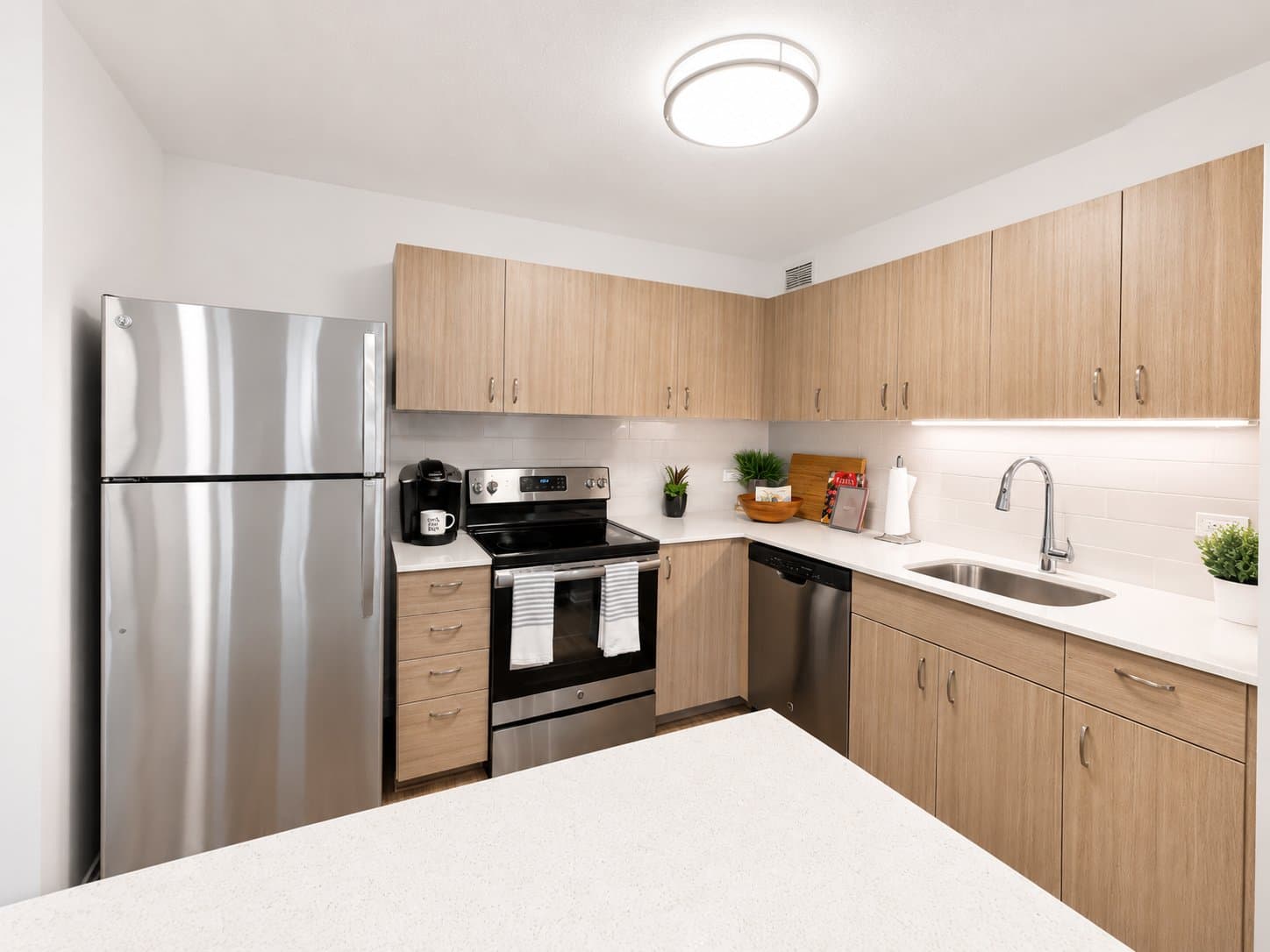 Chicago Condo: 1122 N Dearborn St