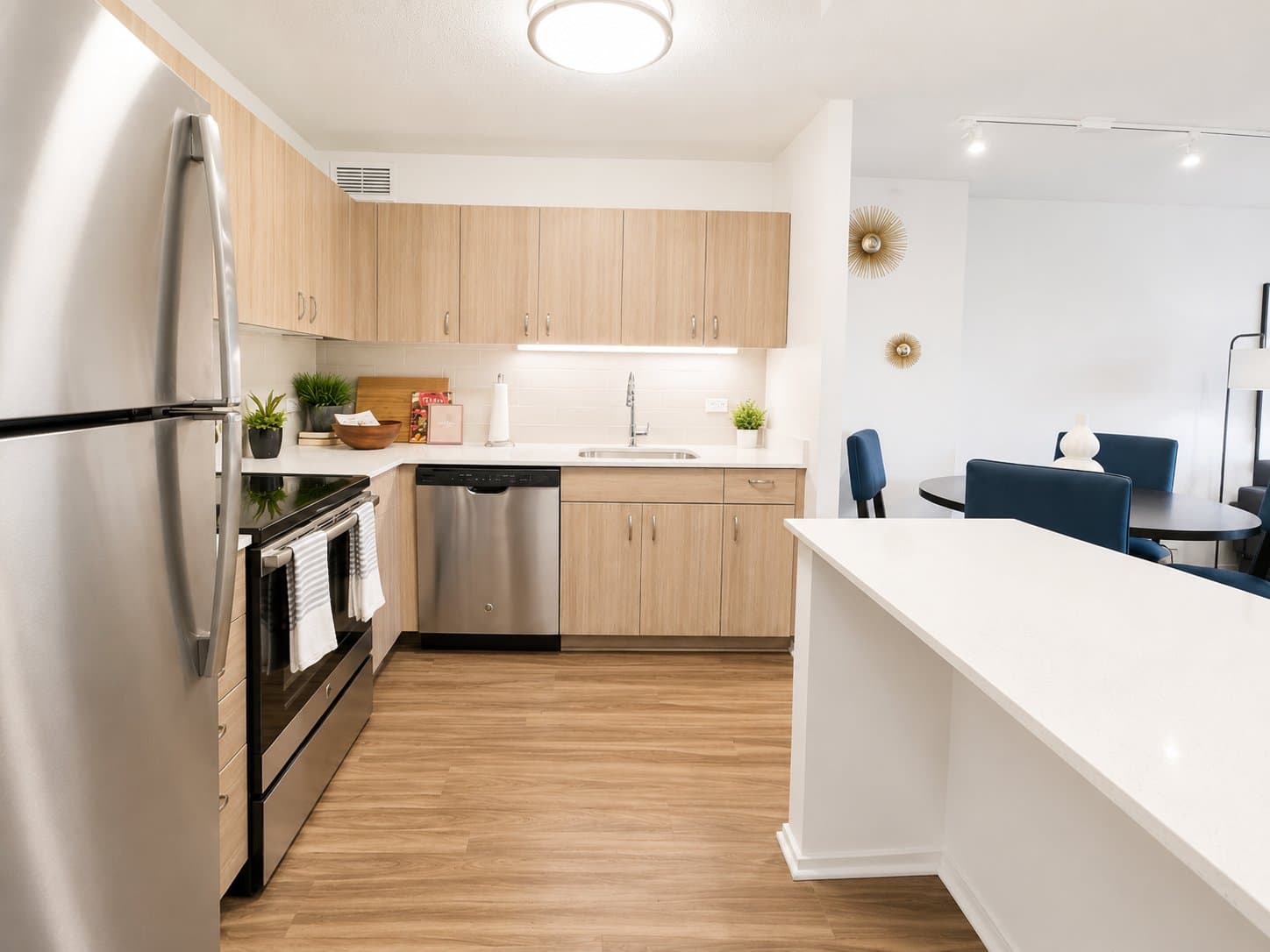 Chicago Condo: 1122 N Dearborn St