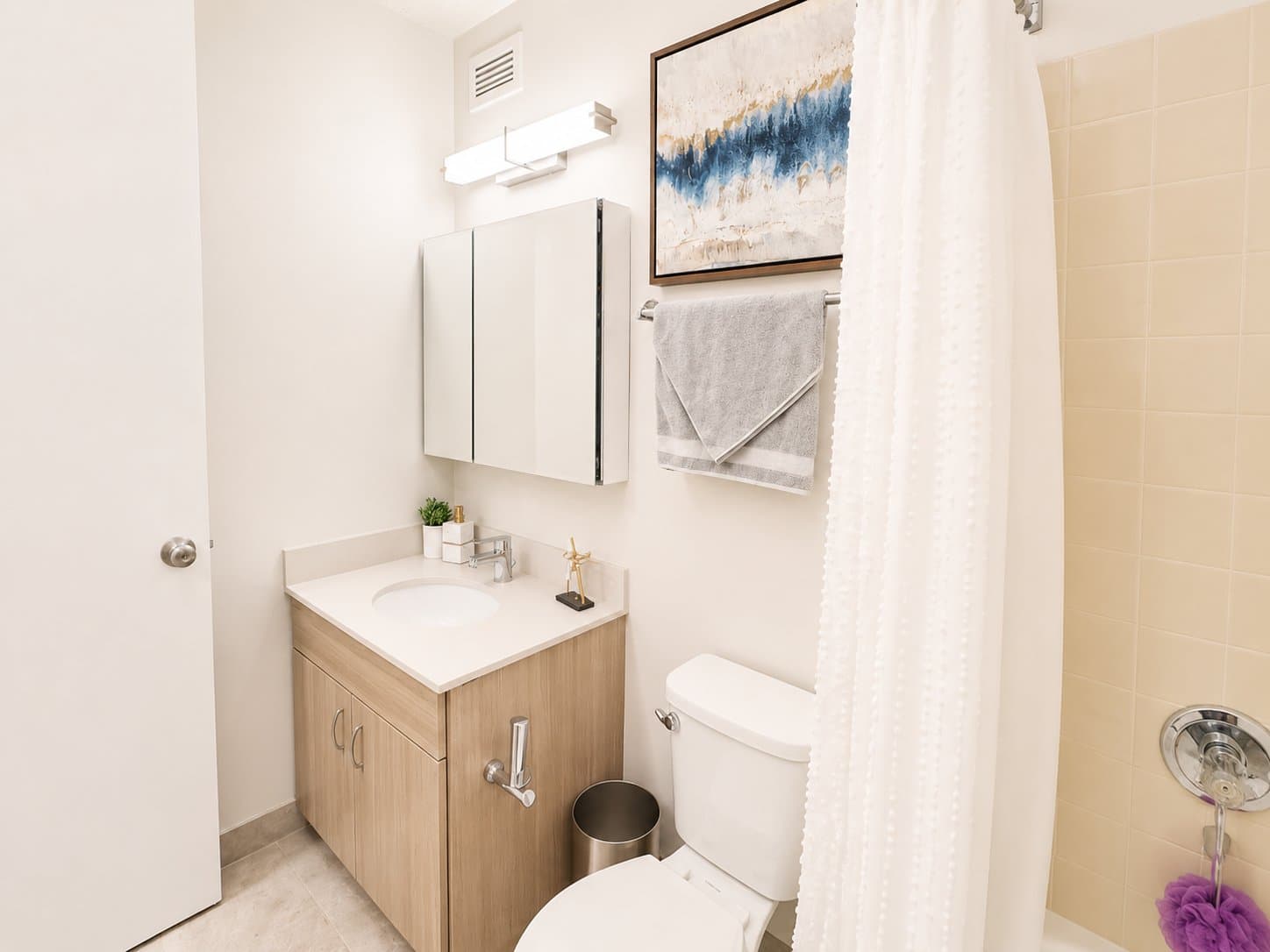 Chicago Condo: 1122 N Dearborn St