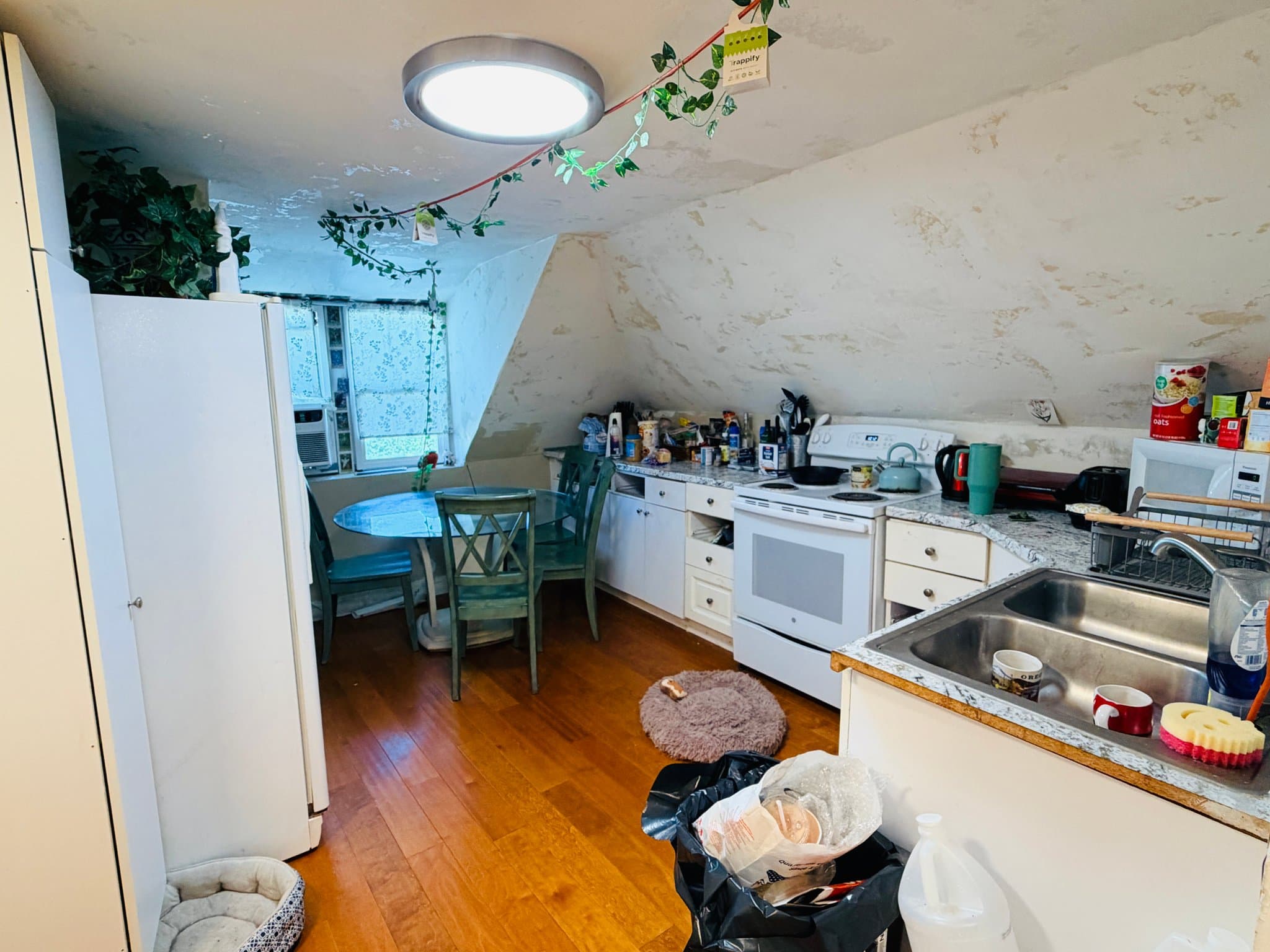 Logan Single Room: 271 E 300 N #3