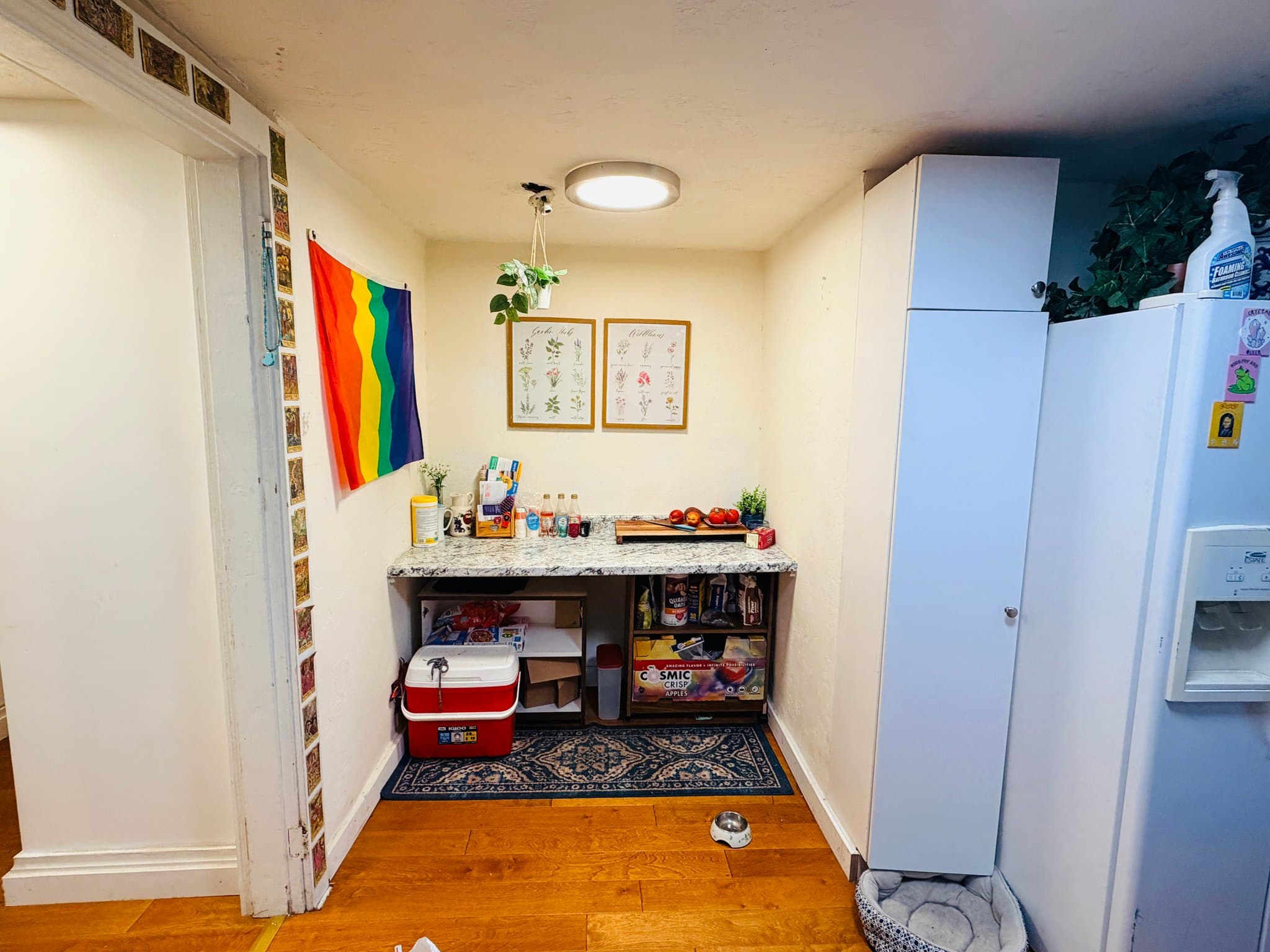 Logan Single Room: 271 E 300 N #3