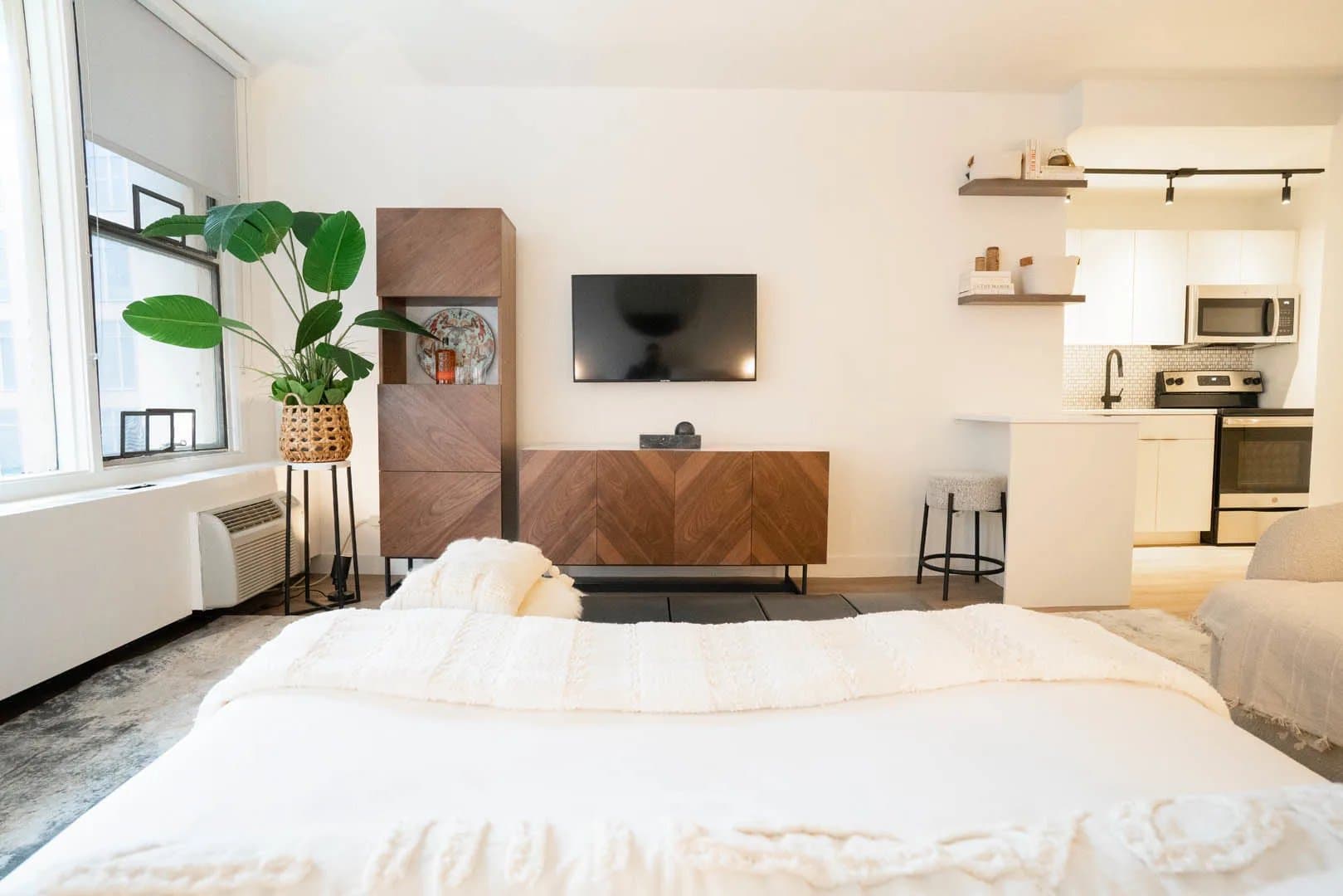 Chicago Condo: 33 E Chestnut