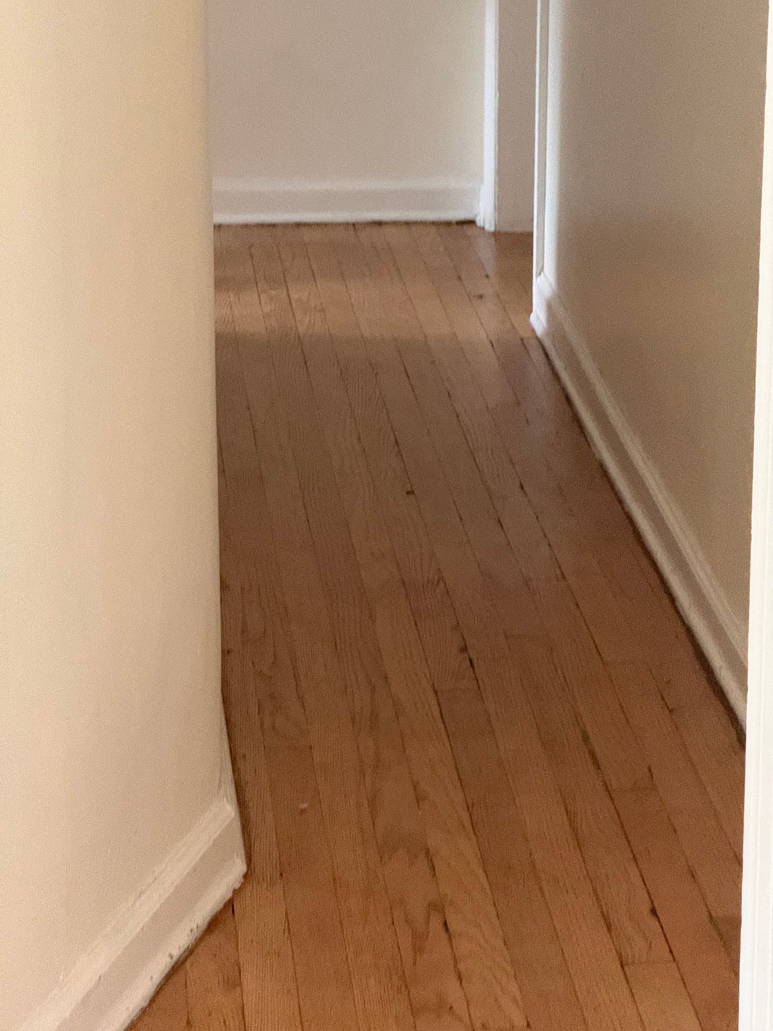 Yonkers Apartment: 127 Belknap Ave