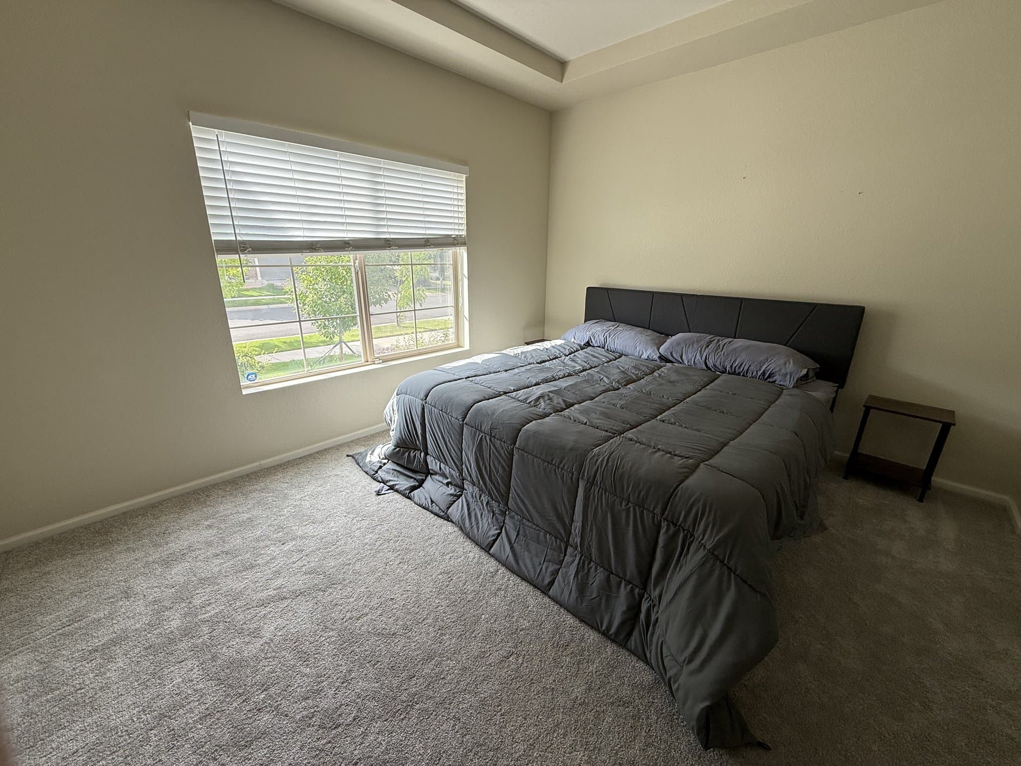 Denver Single Room: 4910 Cathay Ct
