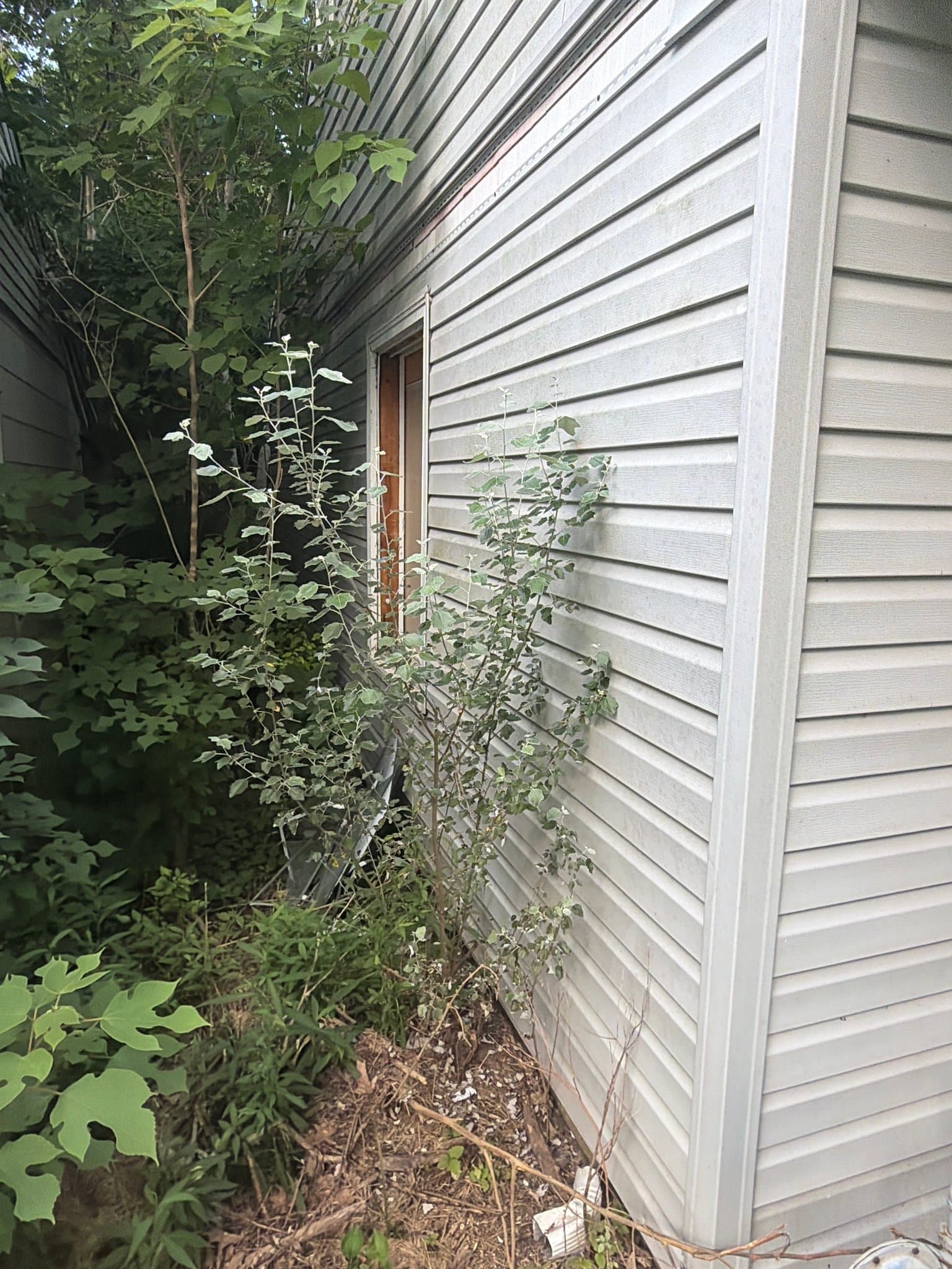 Cahokia Heights House: 30 Delores Dr