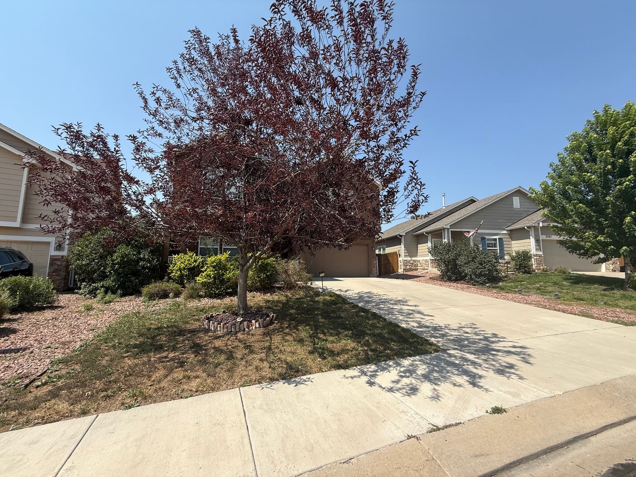 Colorado Springs House: 3713 reindeer cir