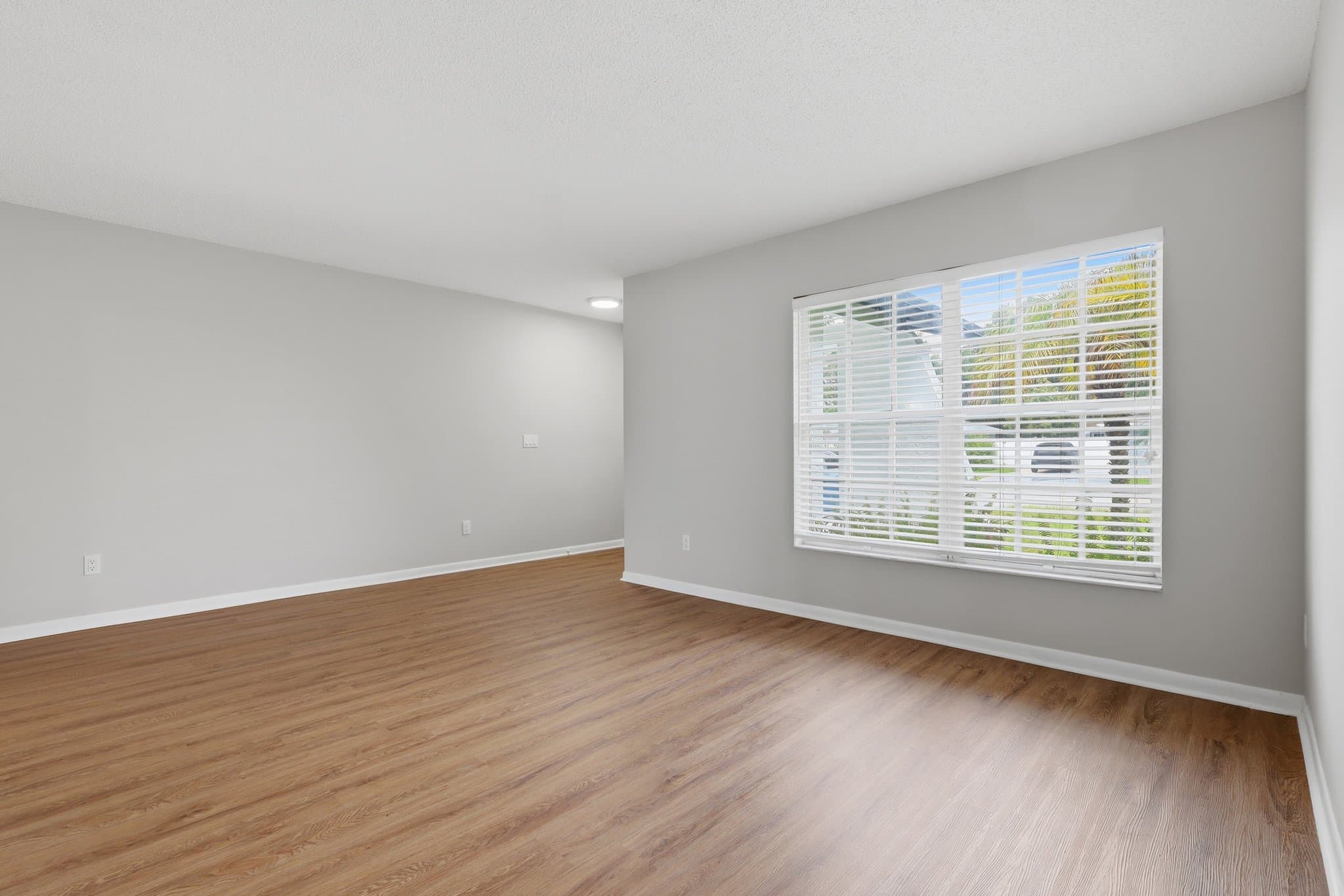 Tampa House: 14505 Farm Hills PL