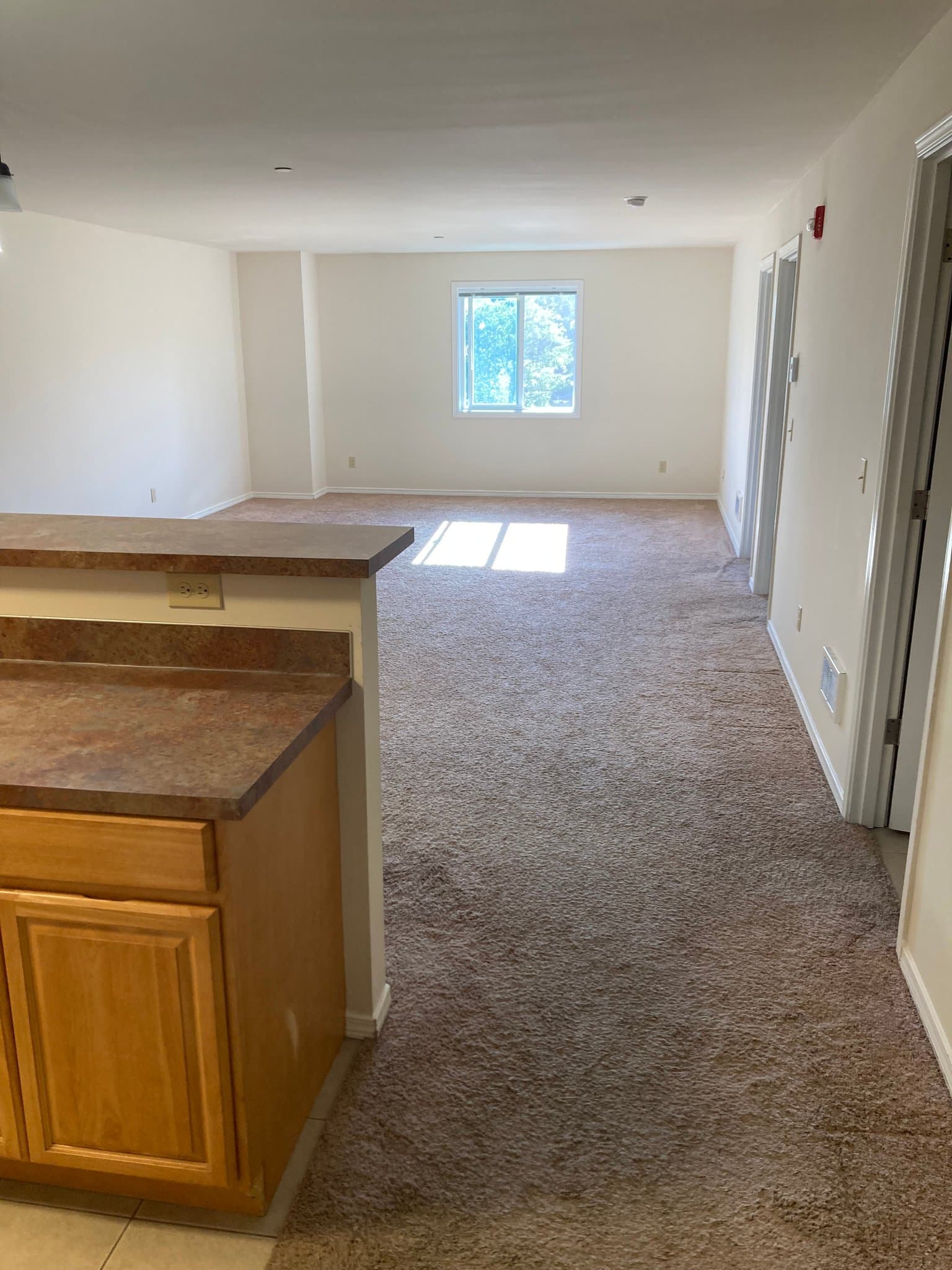 Tukwila Other: 4220 S 164th Street
