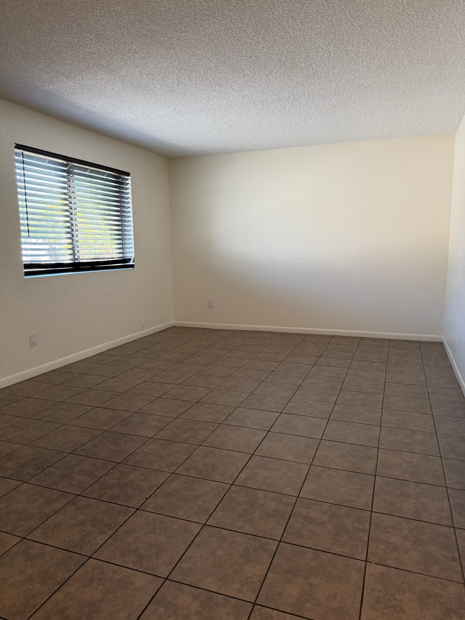 phoenix Multiplex: 1420 E Brown St