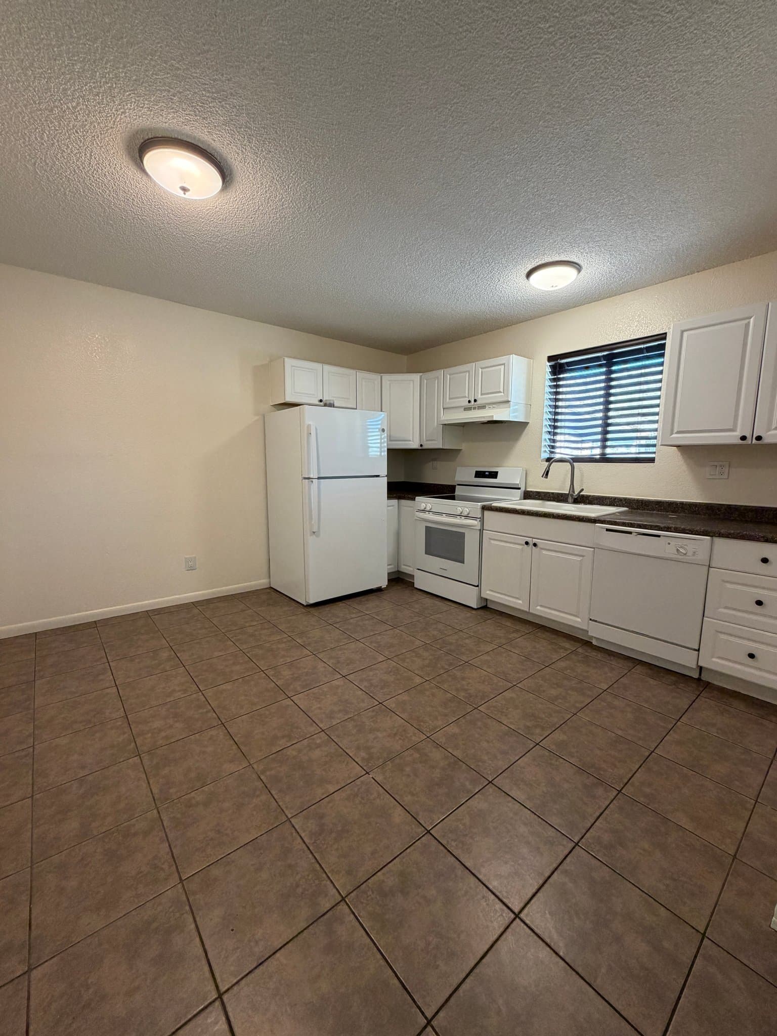 phoenix Multiplex: 1420 E Brown St