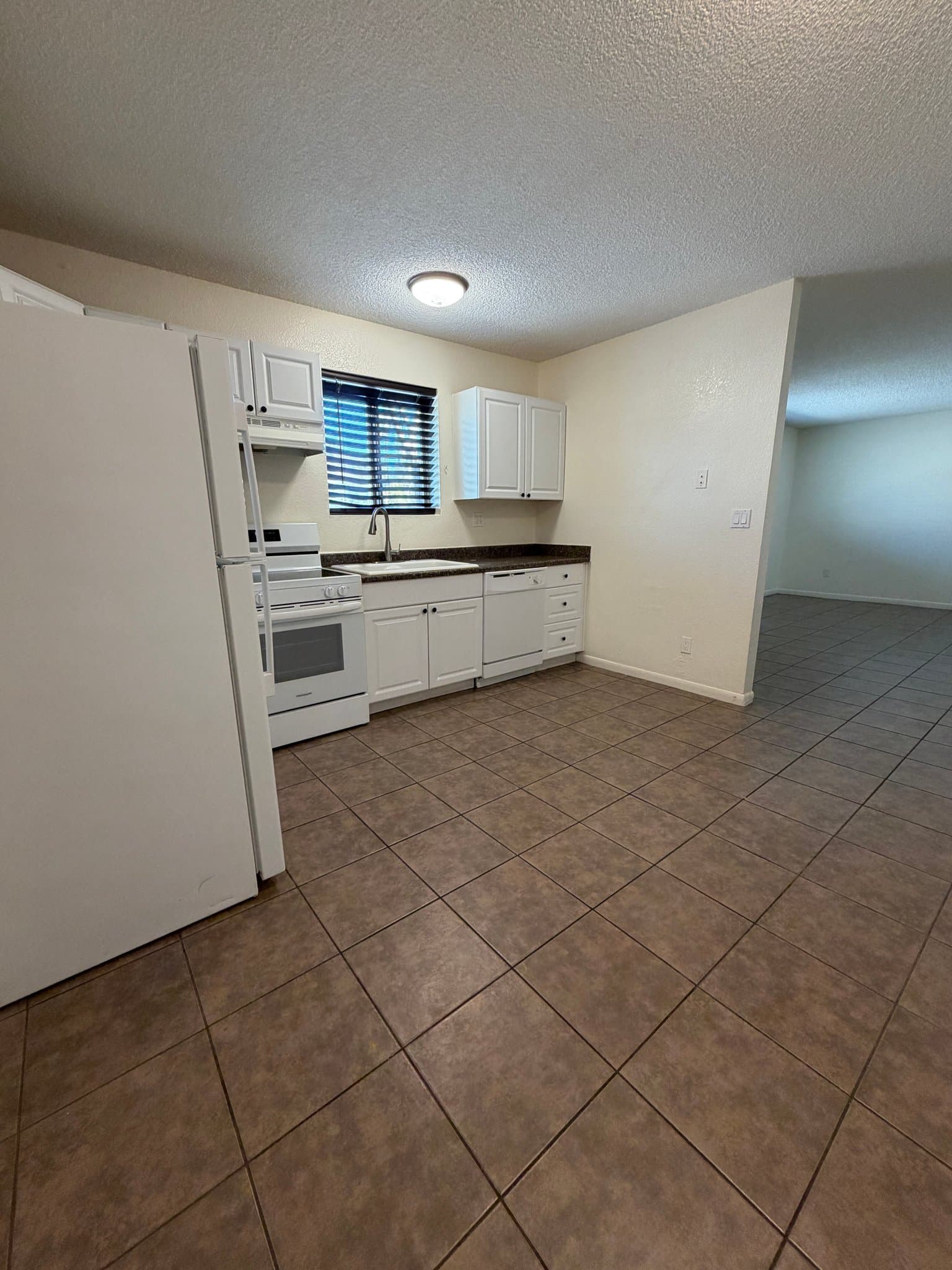phoenix Multiplex: 1420 E Brown St