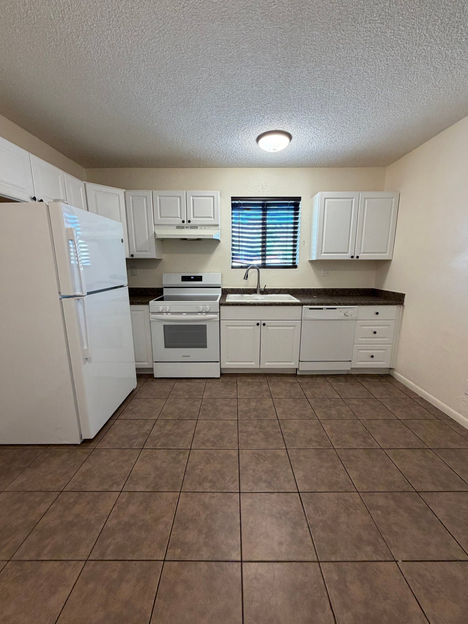 phoenix Multiplex: 1420 E Brown St