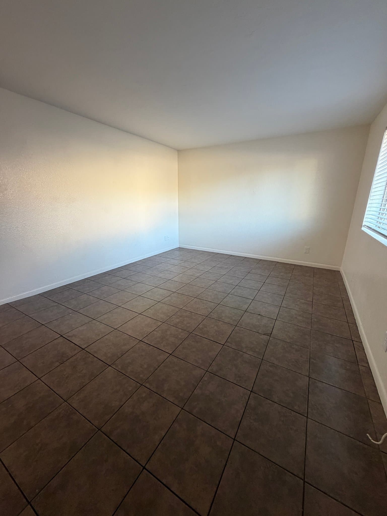 phoenix Multiplex: 1420 E Brown St
