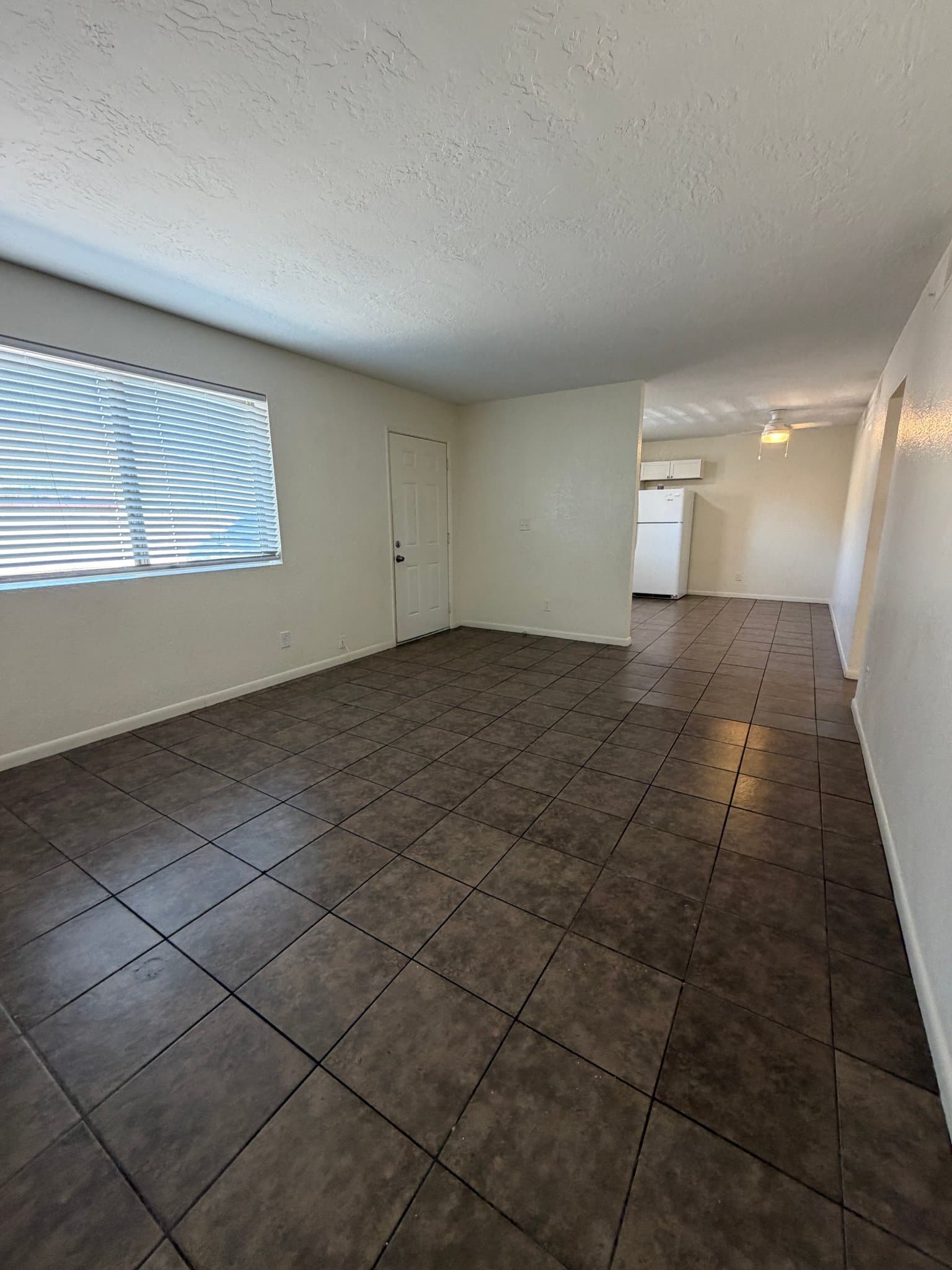phoenix Multiplex: 1420 E Brown St