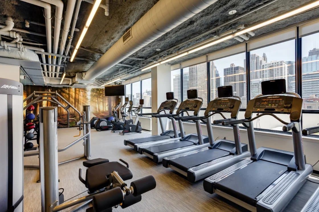 Chicago Condo: 213 S Halsted St