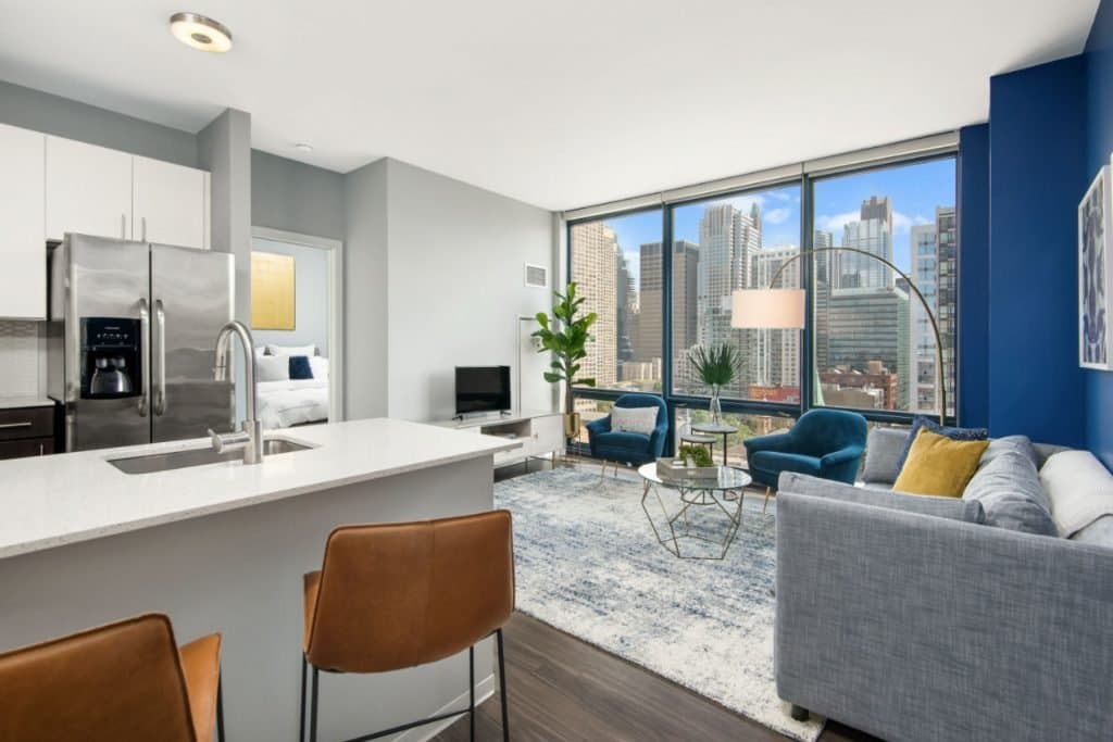 Chicago Condo: 213 S Halsted St