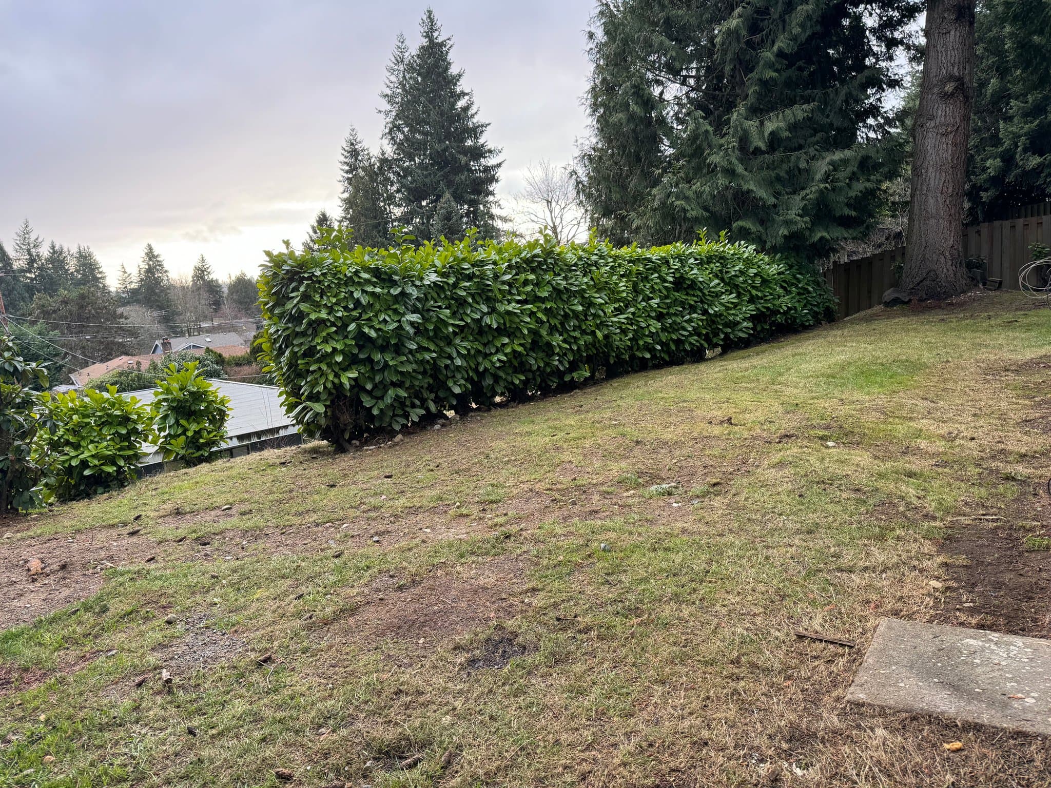 Bellevue House: 16209 Lake Hills Blvd