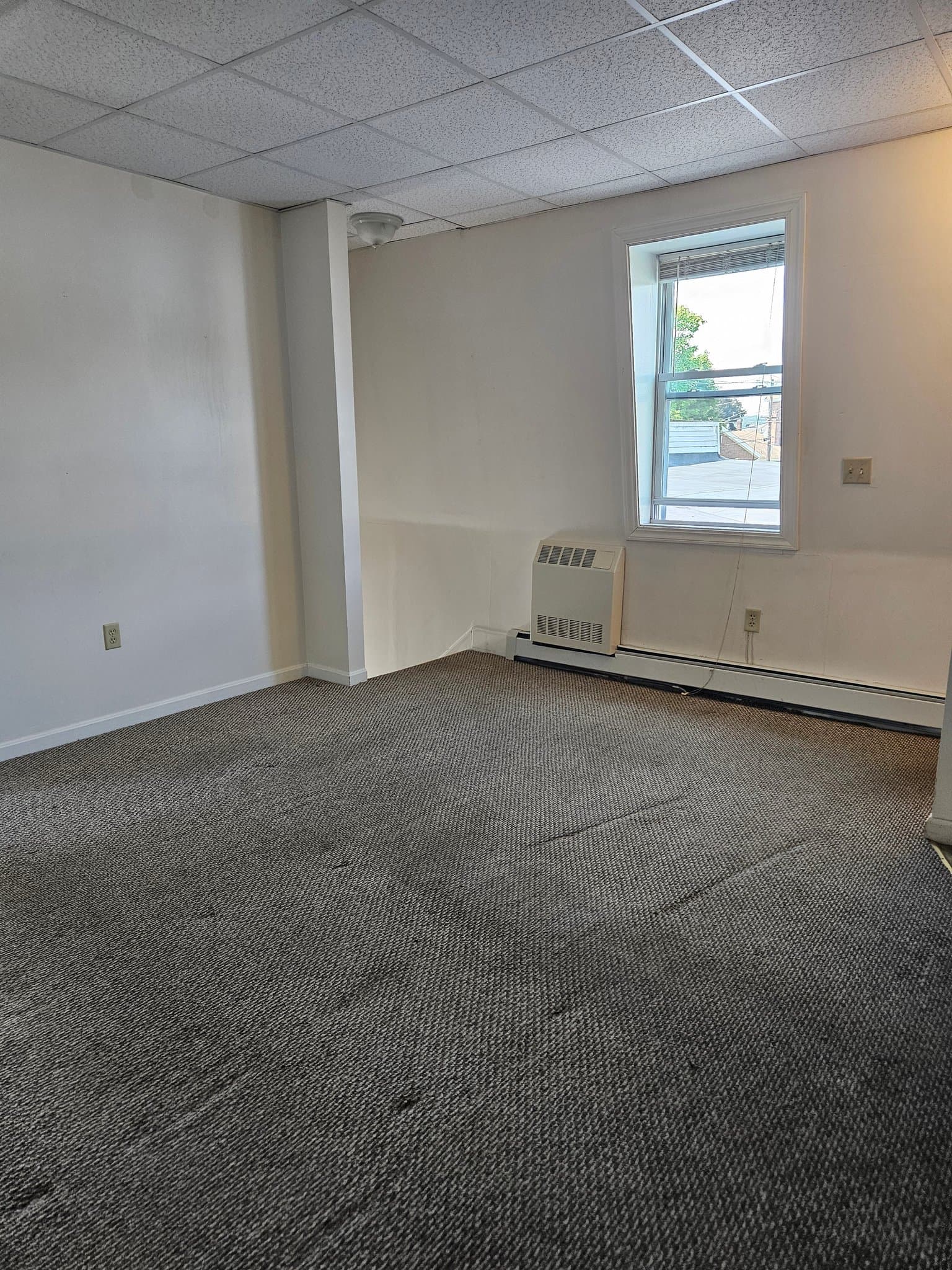 Webster Apartment: 37 lake street