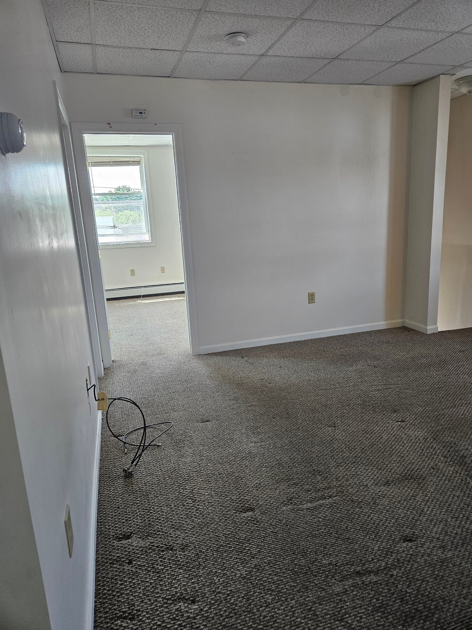 Webster Apartment: 37 lake street