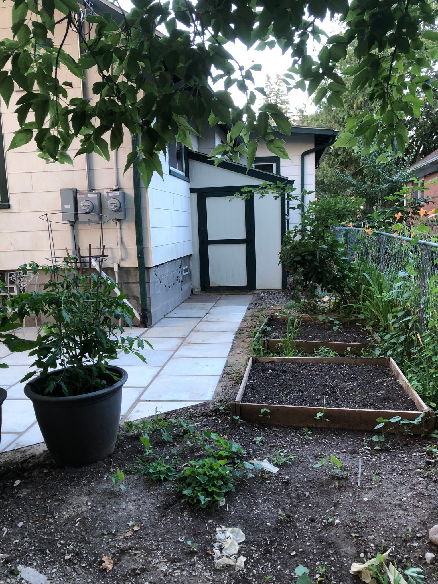 Ann Arbor House: 2314 Packard St