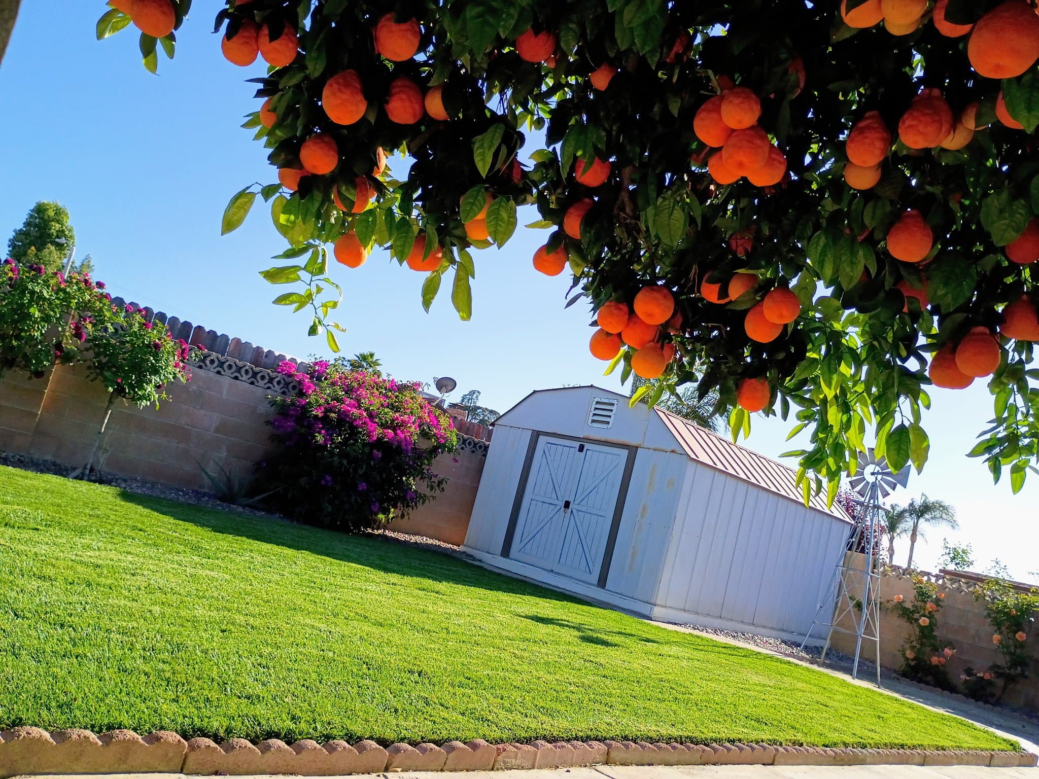 Hemet House: 41315 Sequoia Ln