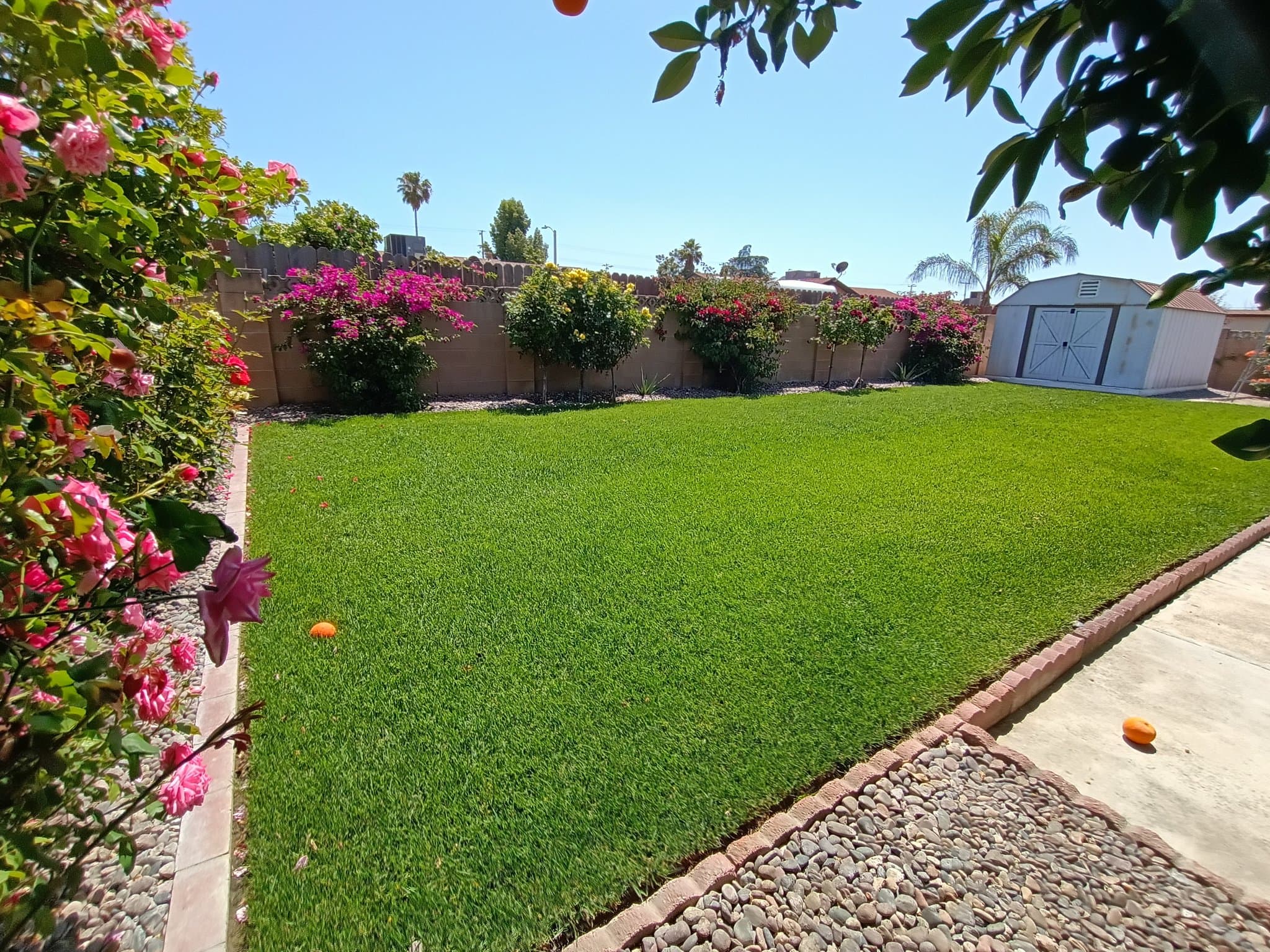 Hemet House: 41315 Sequoia Ln