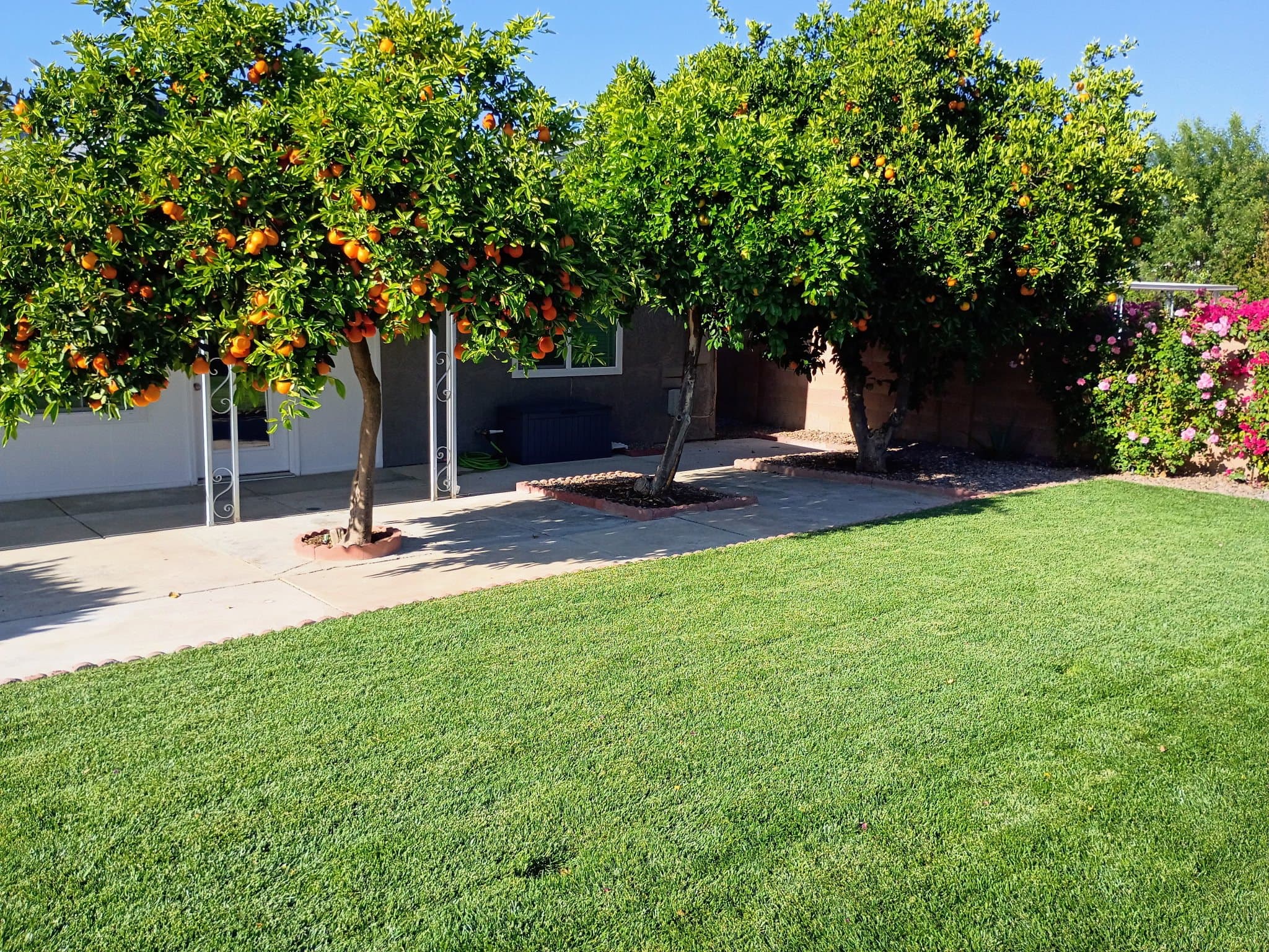 Hemet House: 41315 Sequoia Ln