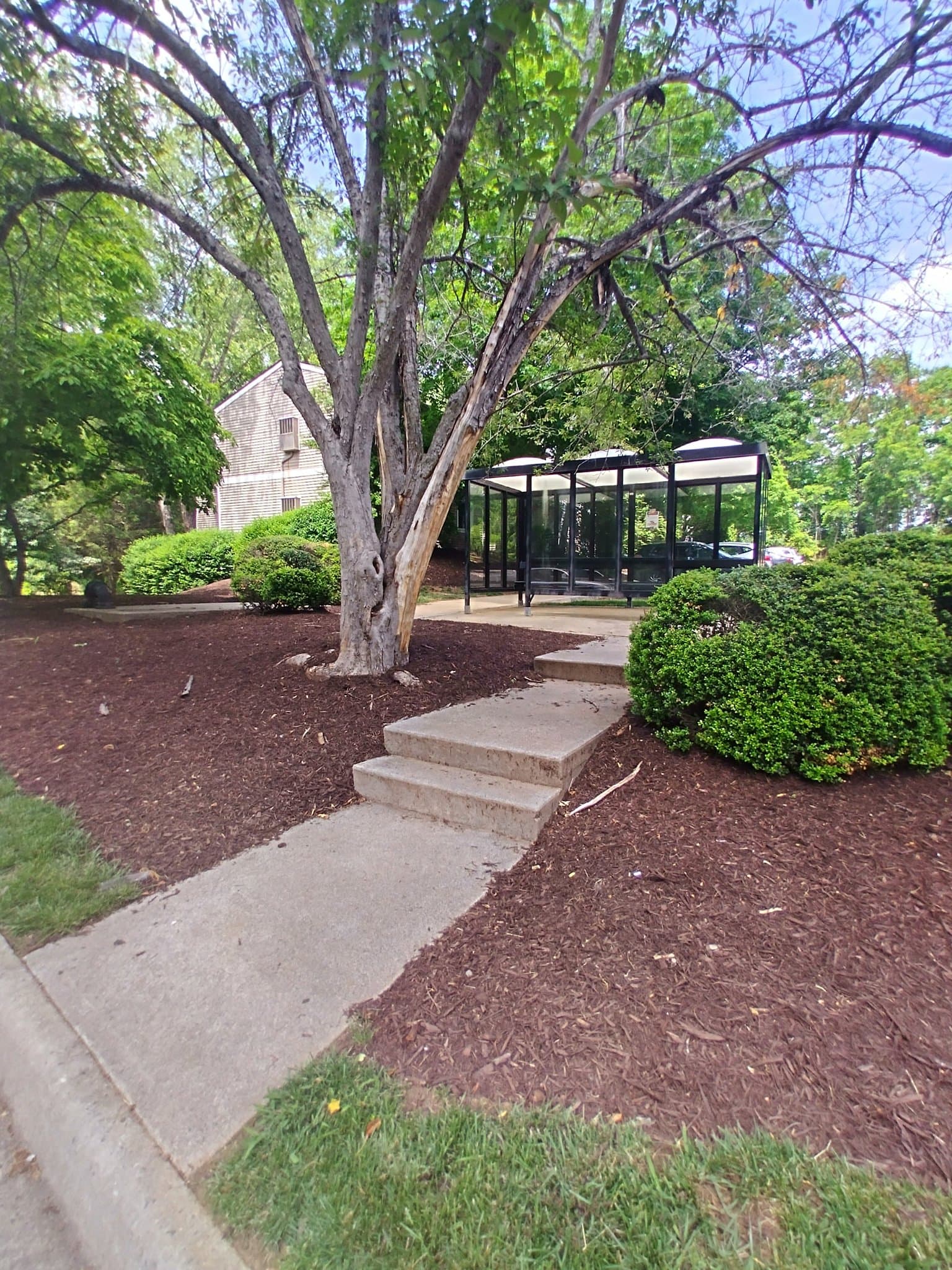 Lynchburg Apartment: 600 Reusens Road