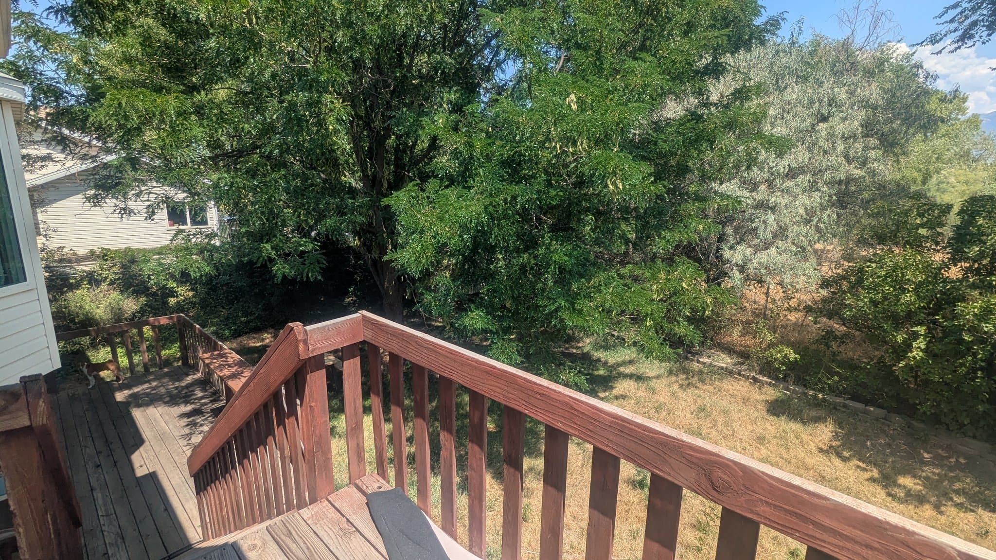 Salt Lake City Single Room: 5557 S Walden Glen Dr