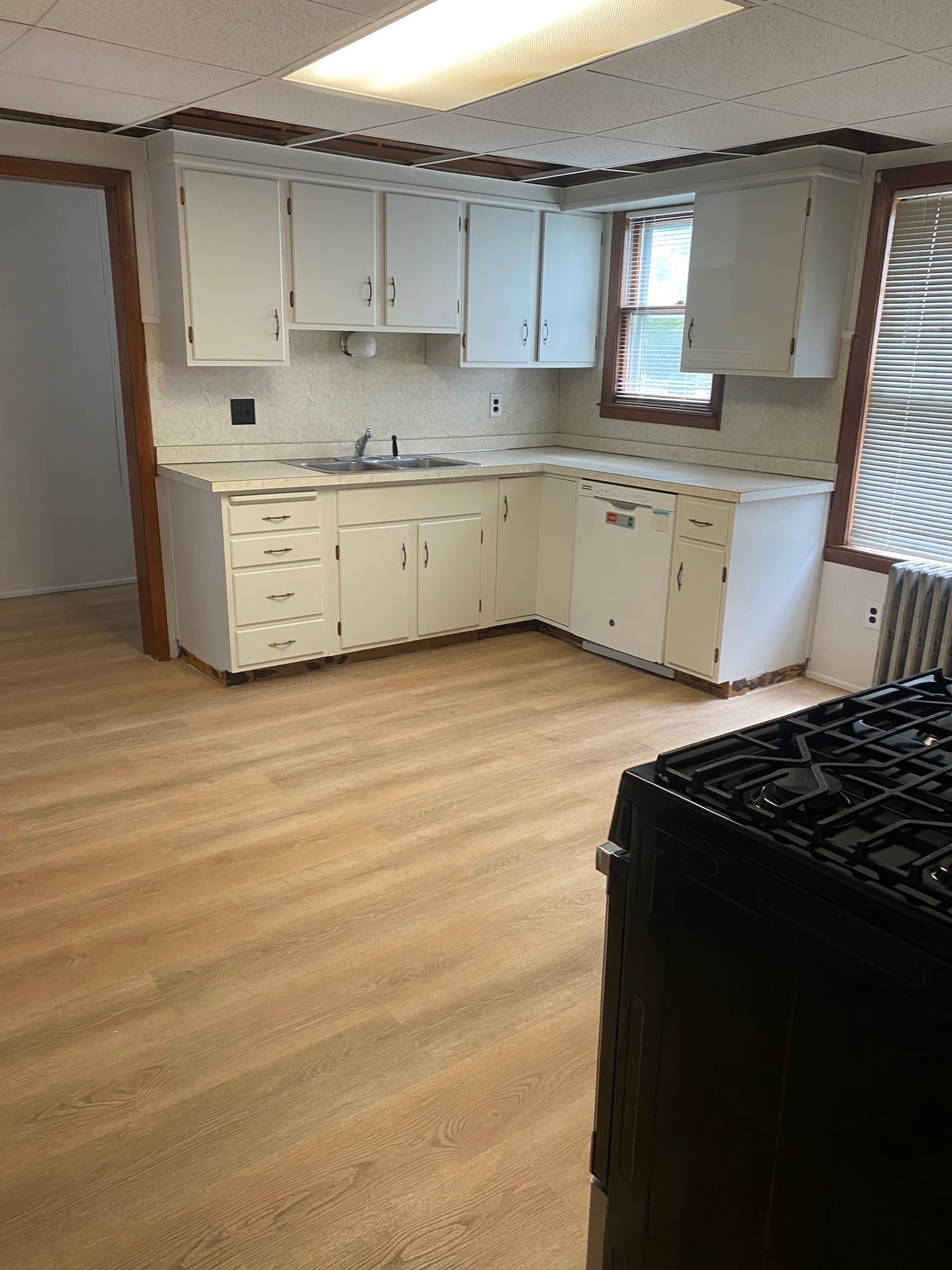 Worcester Apartment: 4 Ruth St
