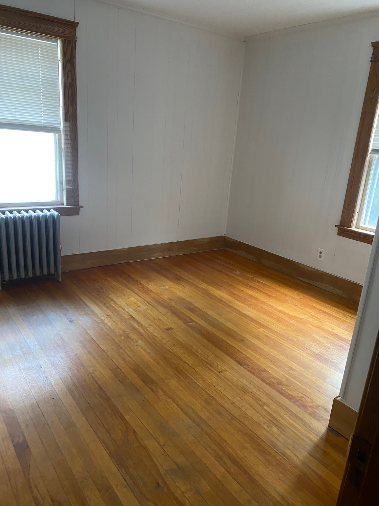 Worcester Apartment: 4 Ruth St