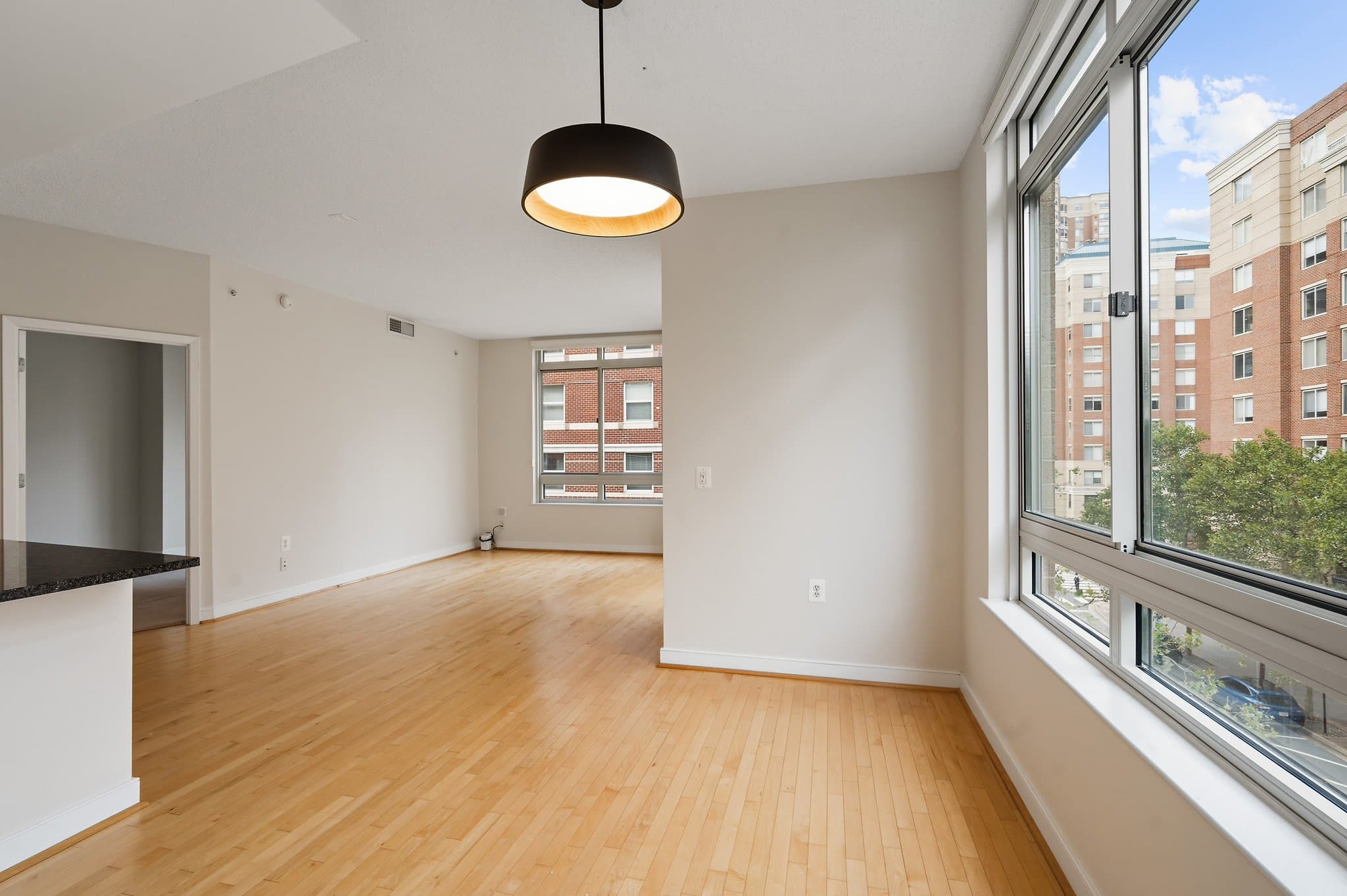 Arlington Condo: 820 N. Pollard St.